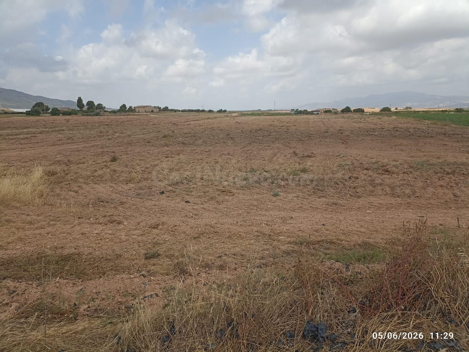 Terreno rústico de 10.621 m2 en Raiguero Bajo (Totana)