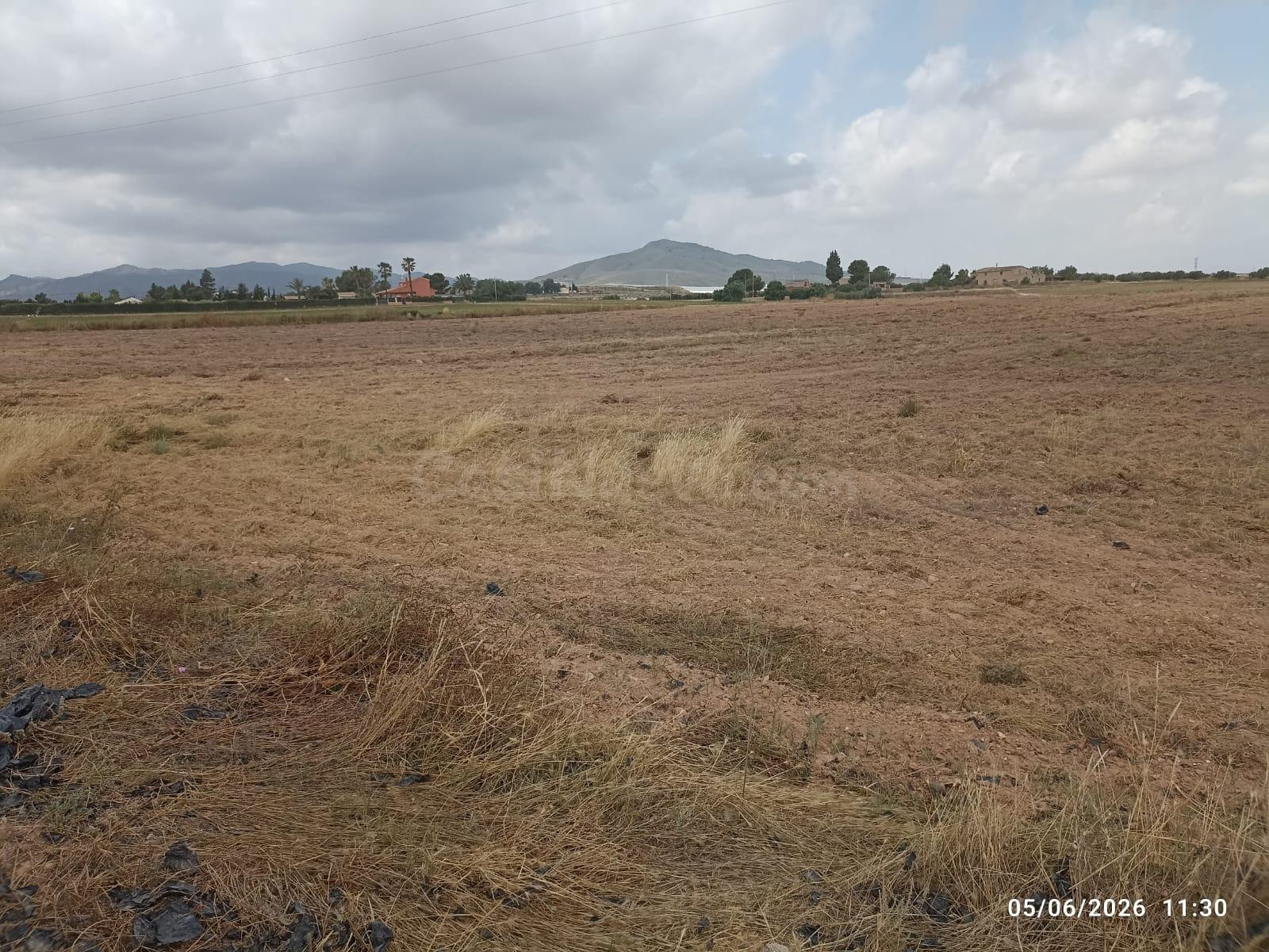 Terreno rústico de 10.621 m2 en Raiguero Bajo (Totana) - foto 4