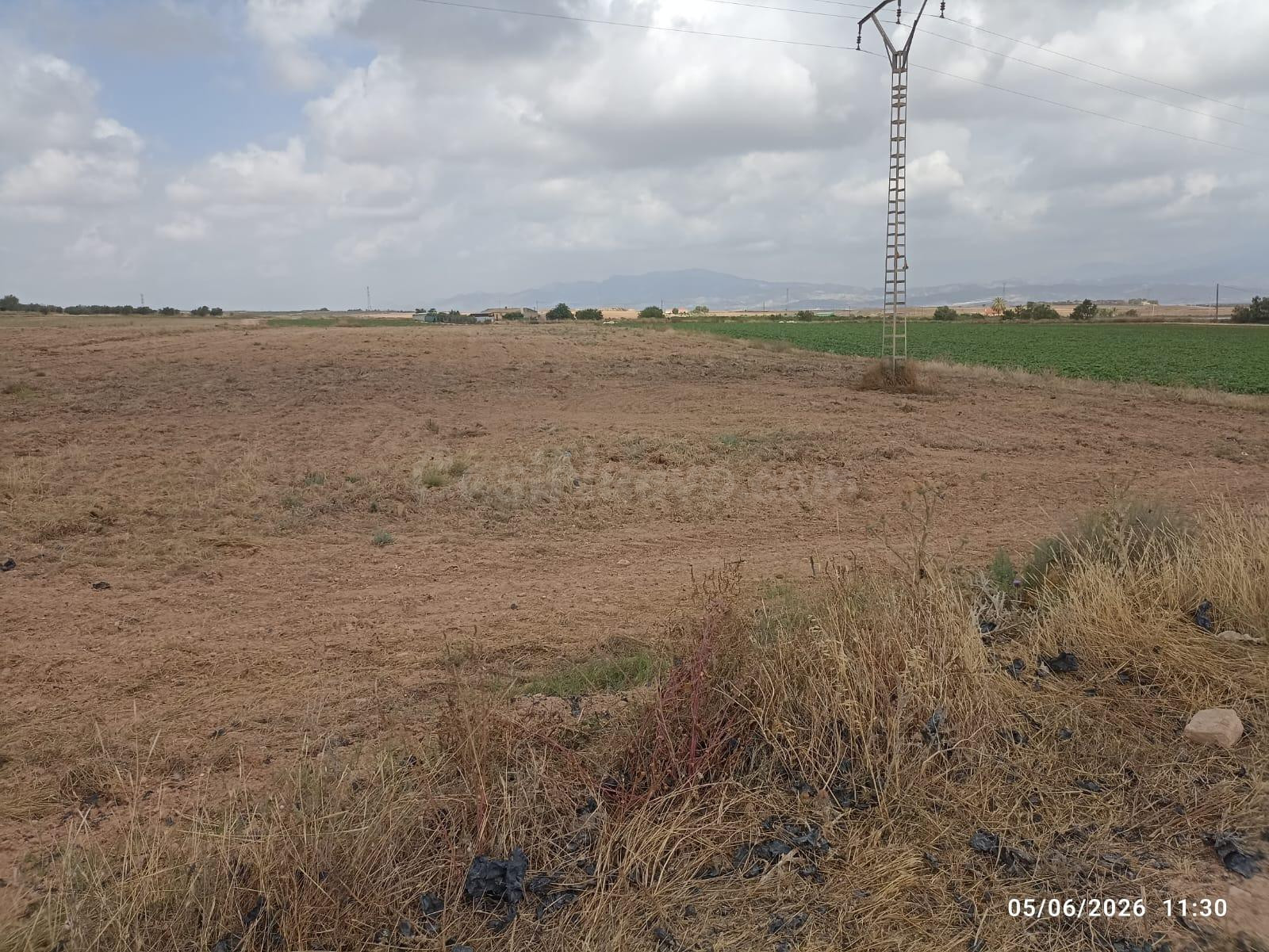 Terreno rústico de 10.621 m2 en Raiguero Bajo (Totana) - foto 5
