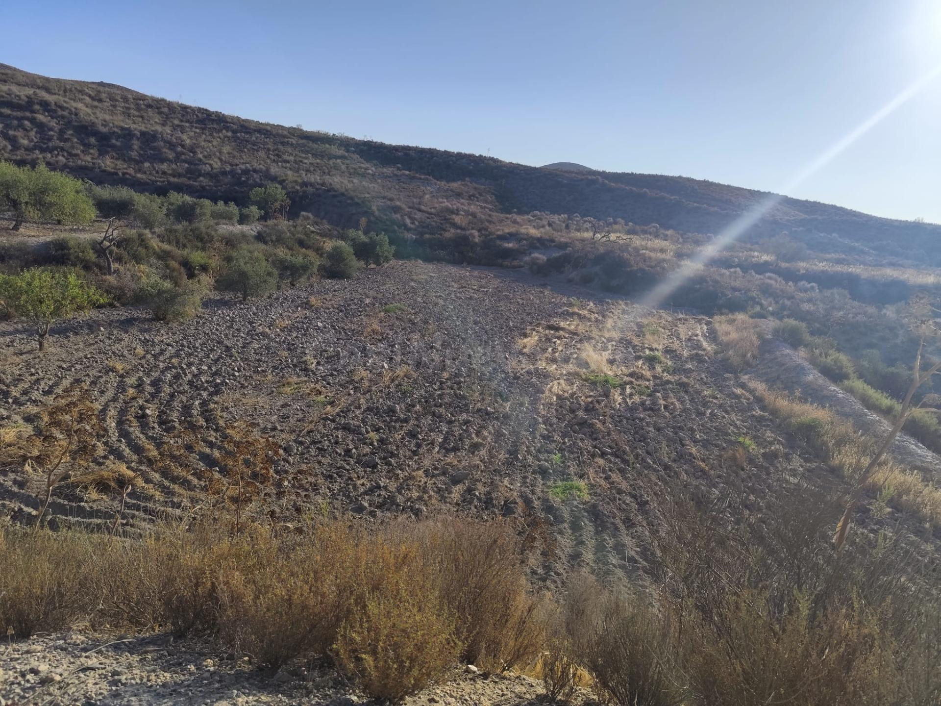 Terreno en Venta en La Torrecilla, Lorca - foto 3