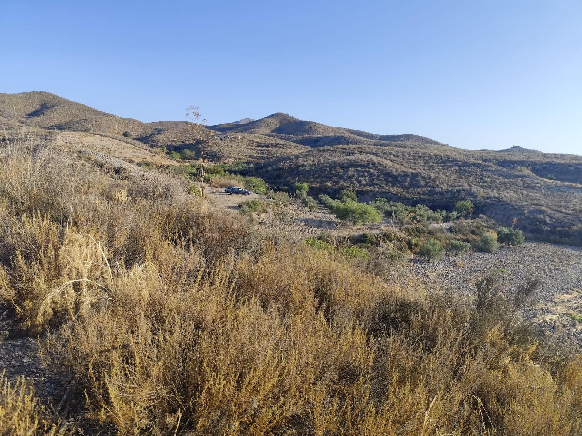 Terreno en Venta en La Torrecilla, Lorca - foto 4