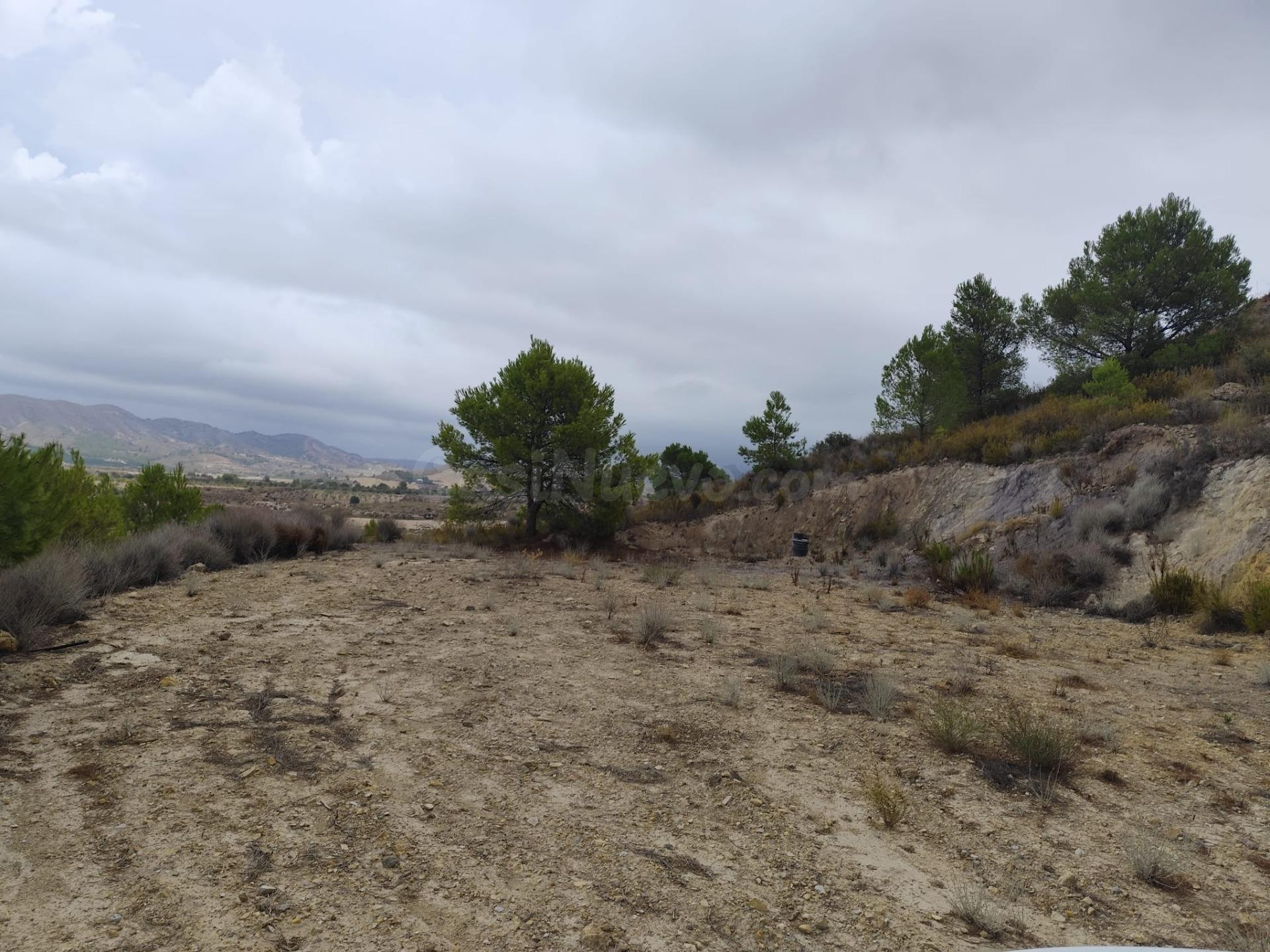 Terreno en Venta en Aguaderas (Lorca)