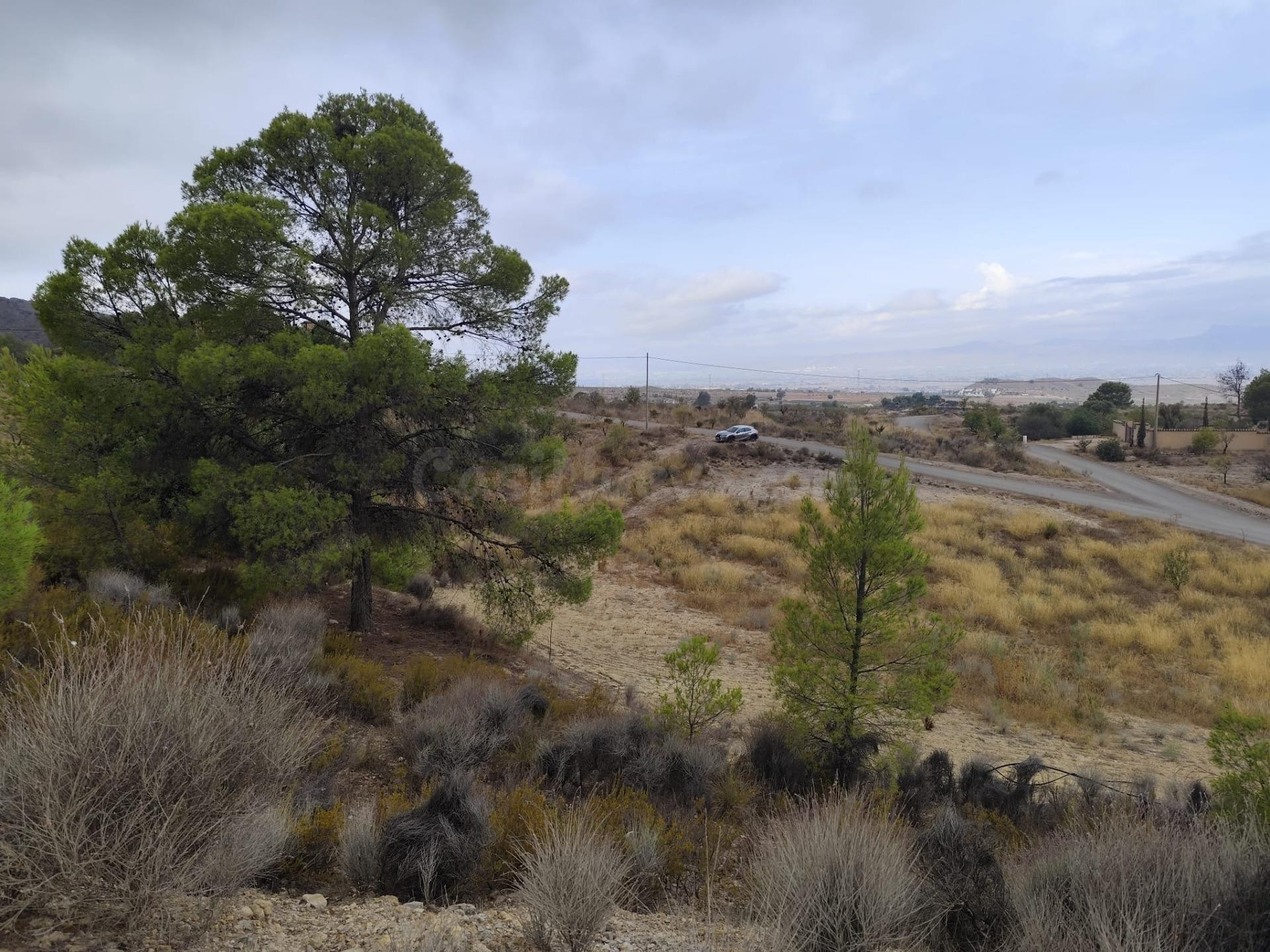 Terreno en Venta en Aguaderas (Lorca) - foto 2