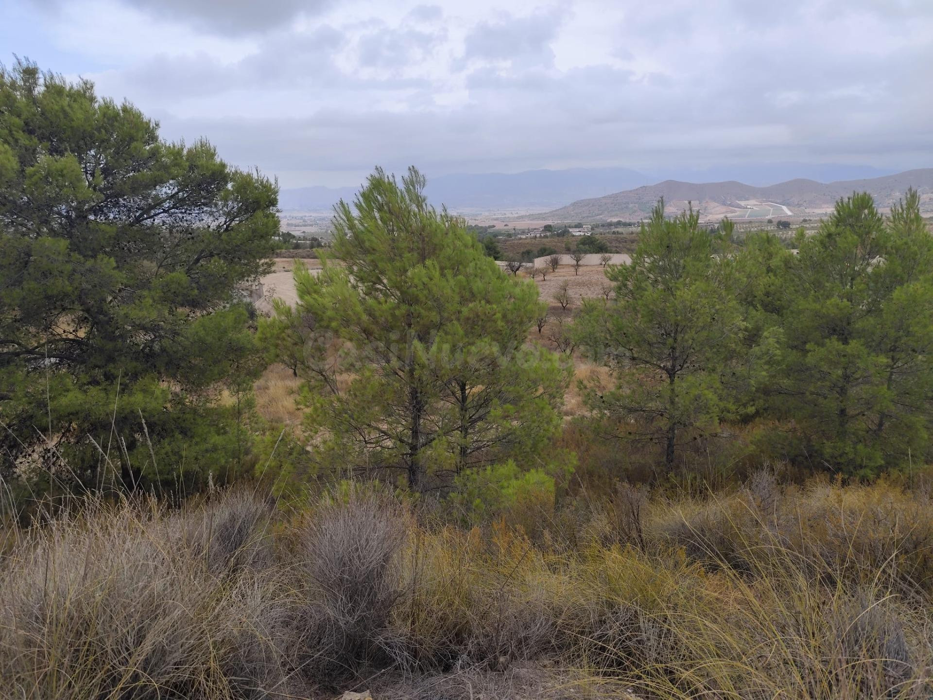Terreno en Venta en Aguaderas (Lorca) - foto 3