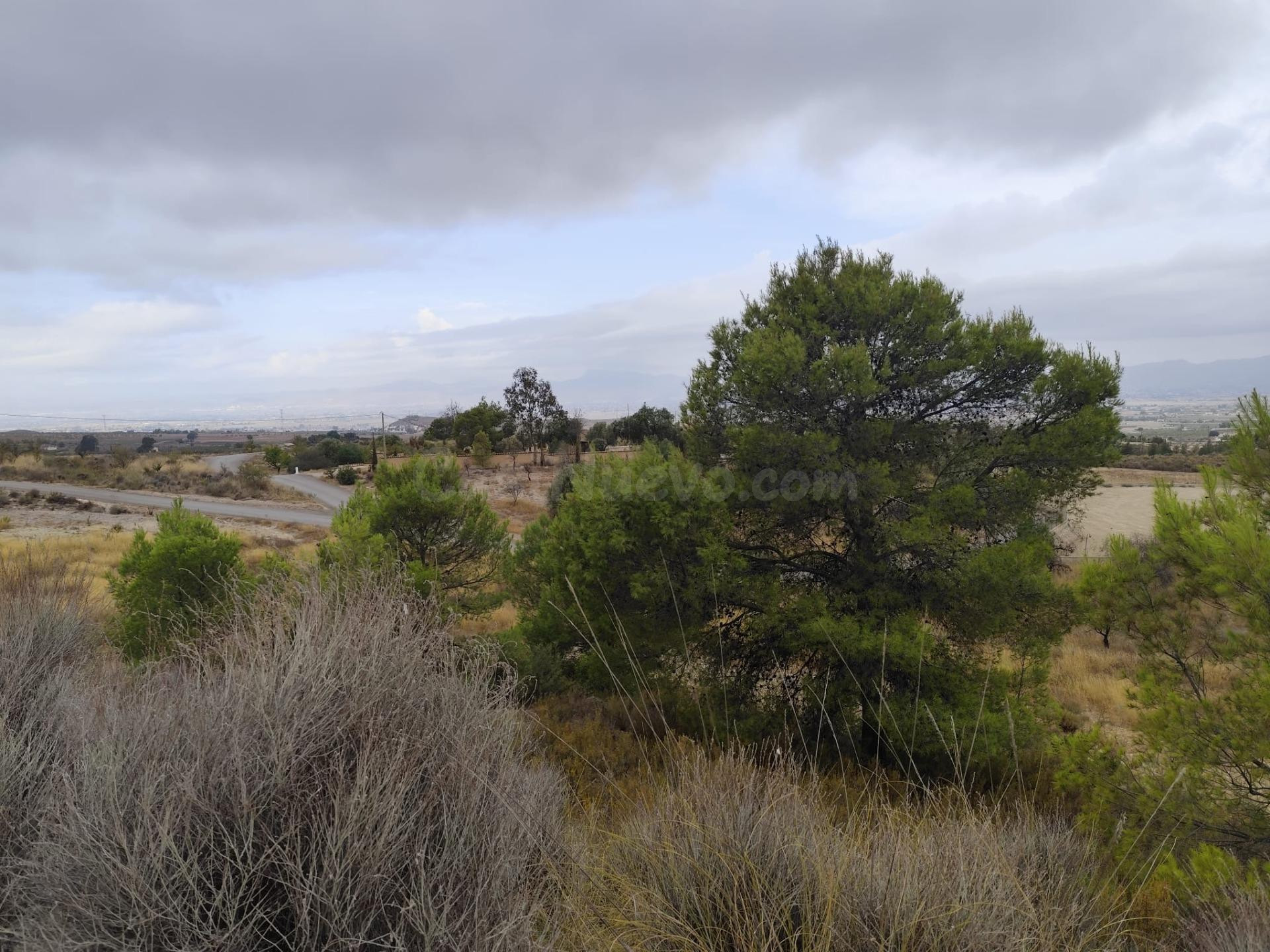 Terreno en Venta en Aguaderas (Lorca) - foto 4