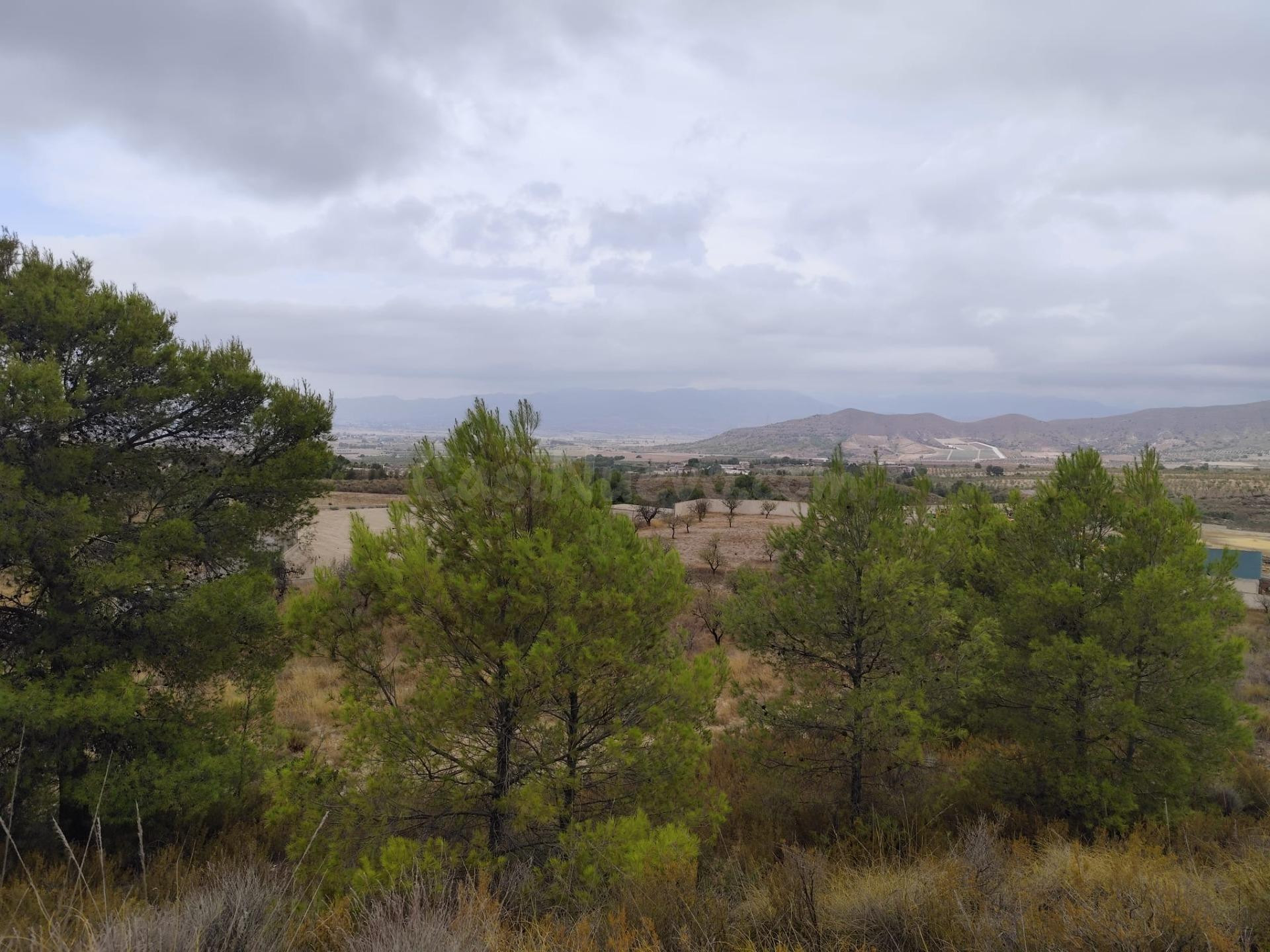 Terreno en Venta en Aguaderas (Lorca) - foto 5