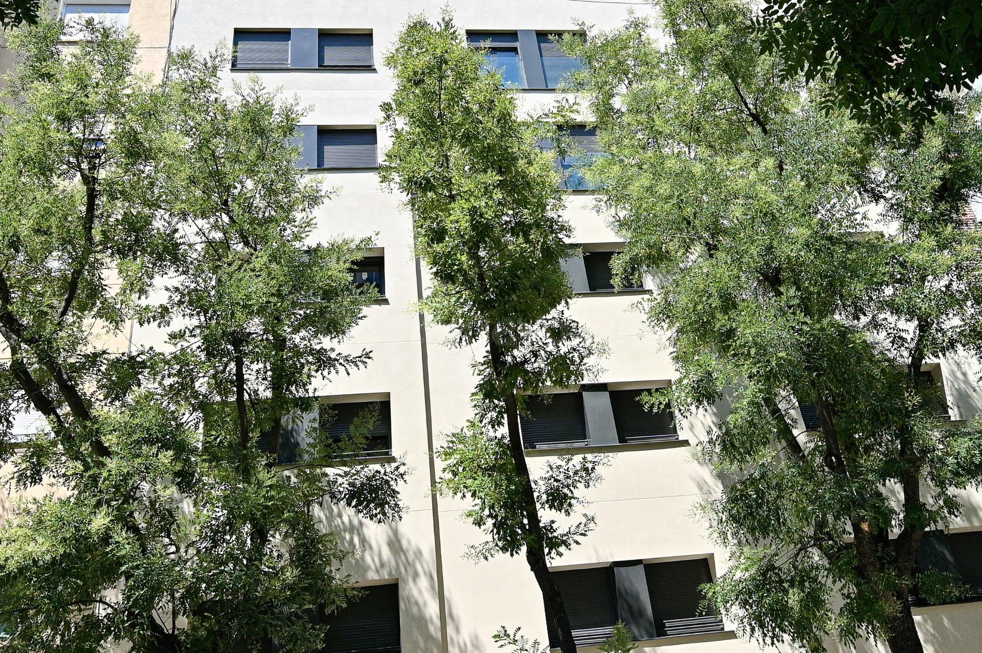 VIVIENDA A EXTRENAR MARQUES DE ZAFRA - foto 2