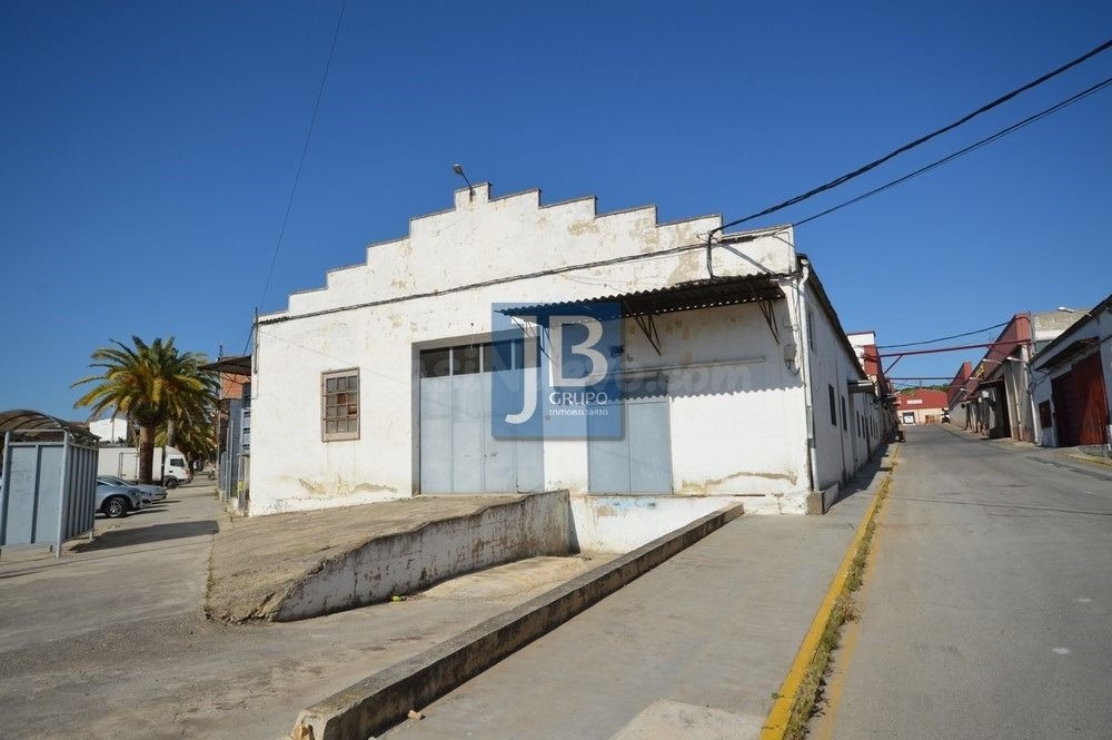 Nave industrial 1192m² en venta - Benigánim - foto 3