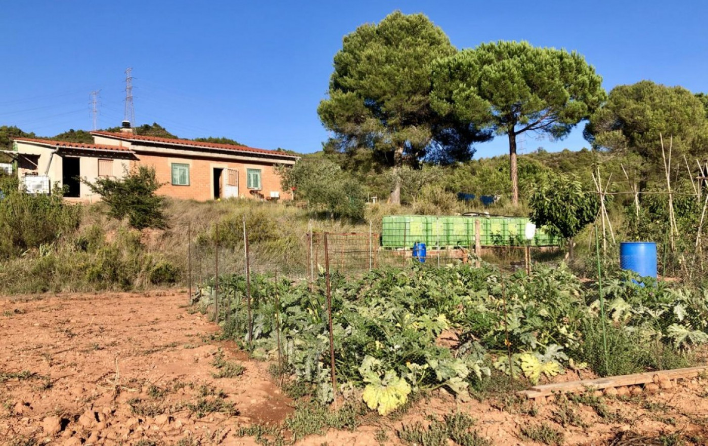Finca Rústica con Amplias Posibilidades - foto 2