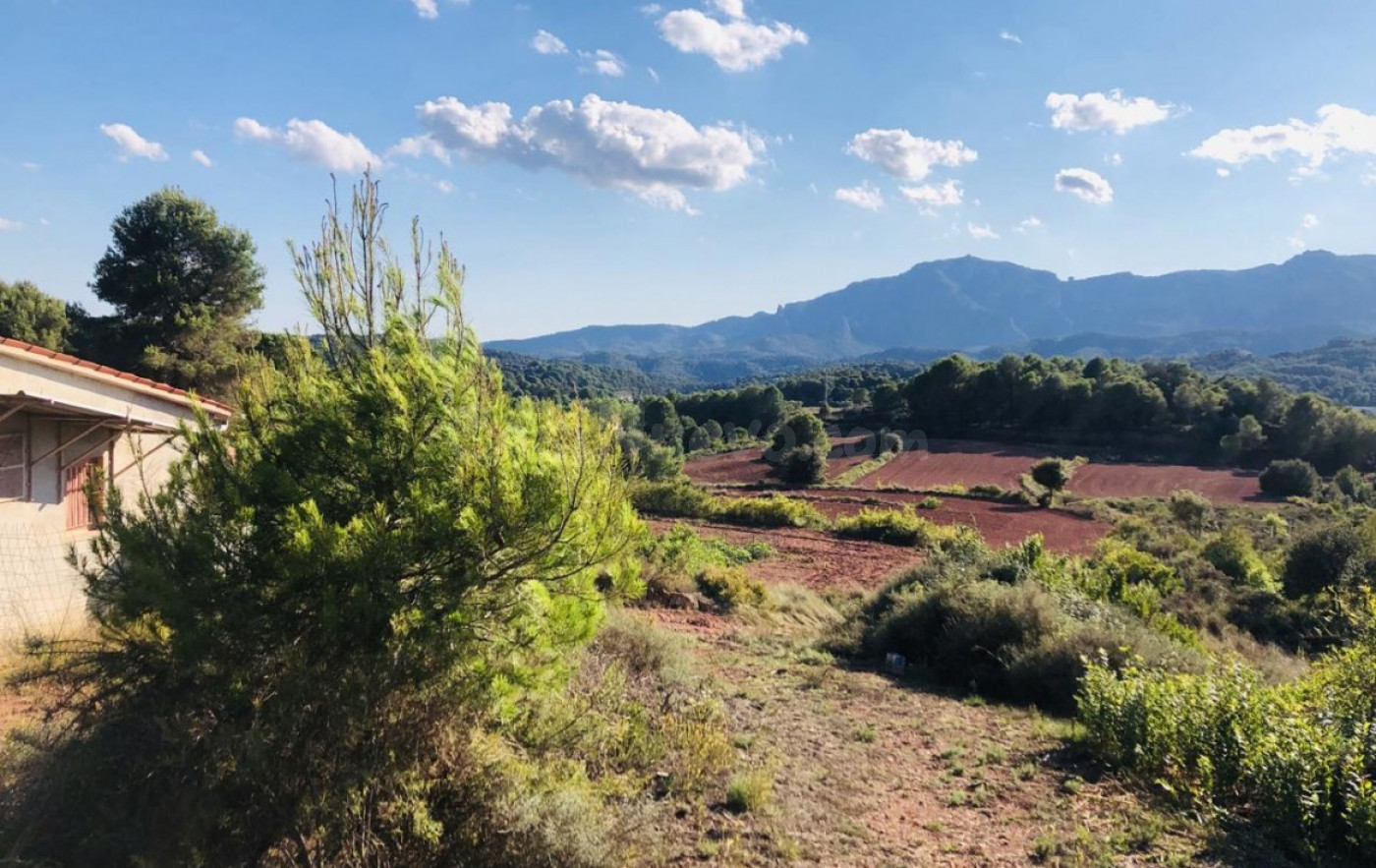 Finca Rústica con Amplias Posibilidades - foto 4