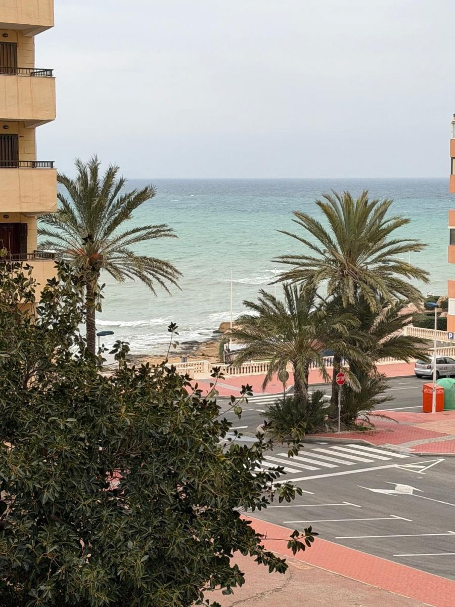 Apartamento 1 habitación 35m² en venta - Cabo cervera