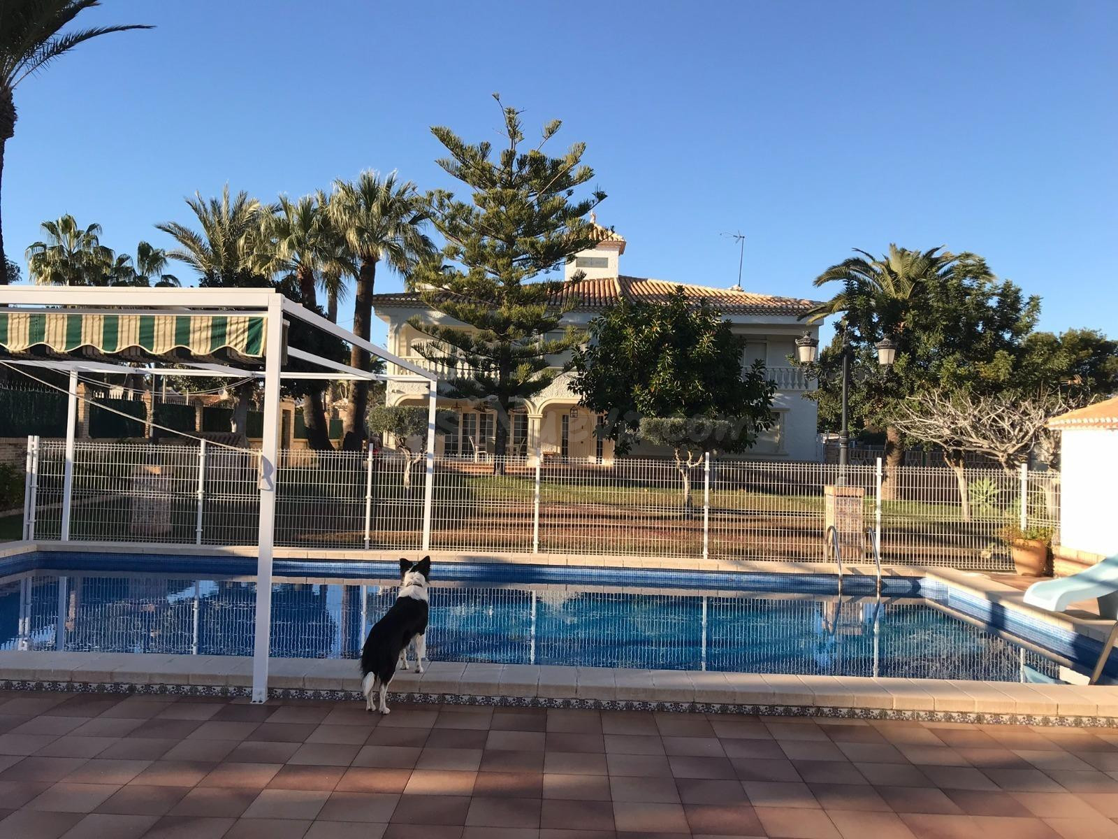 Villa 7 habitaciones 500m² en venta - Costa blanca - foto 3