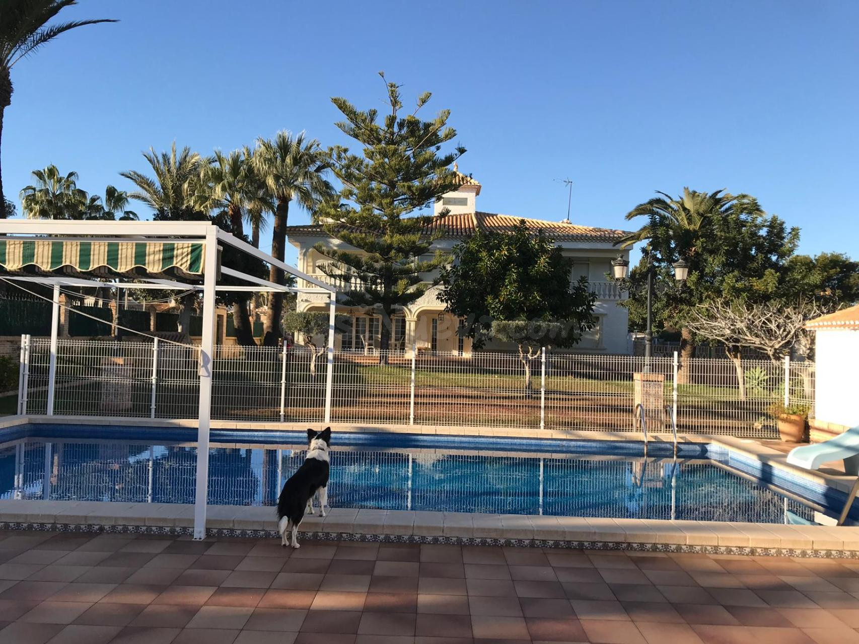 Villa 6 habitaciones 545m² en venta - Costa blanca - foto 2