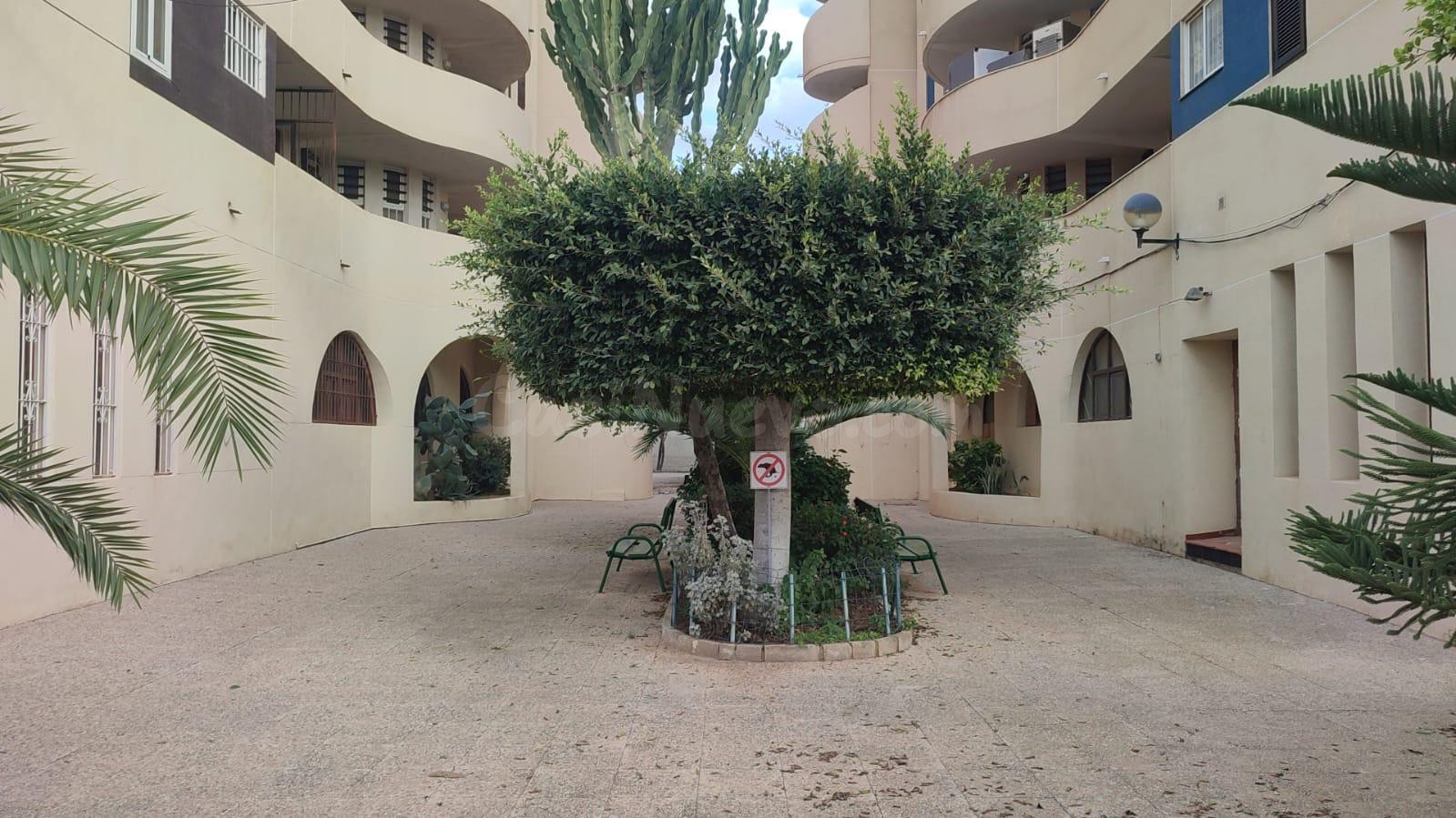 Apartamento 1 habitación 79m² en venta - La veleta - foto 4