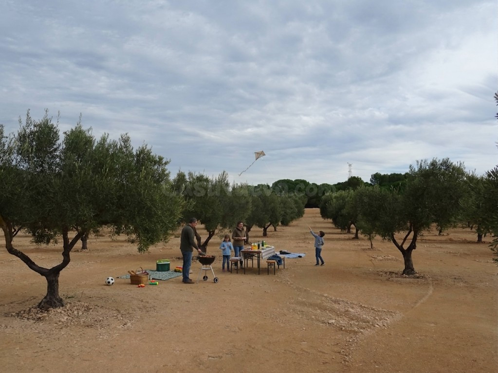 Suelo rústico en Venta en Biar Alicante - foto 2
