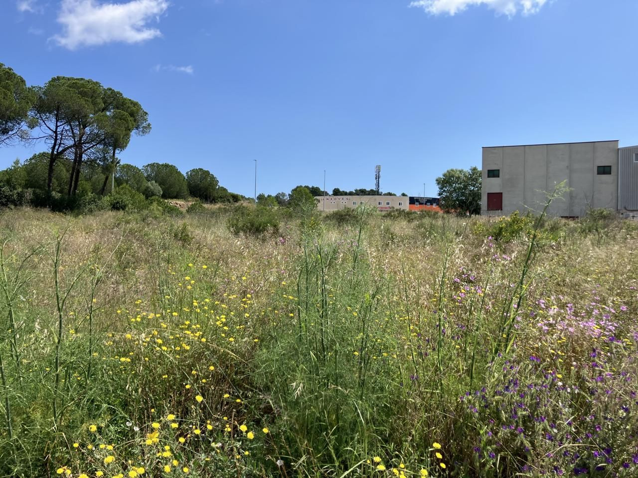 P12 Magnifica Parcela  Industrial en L'Escala