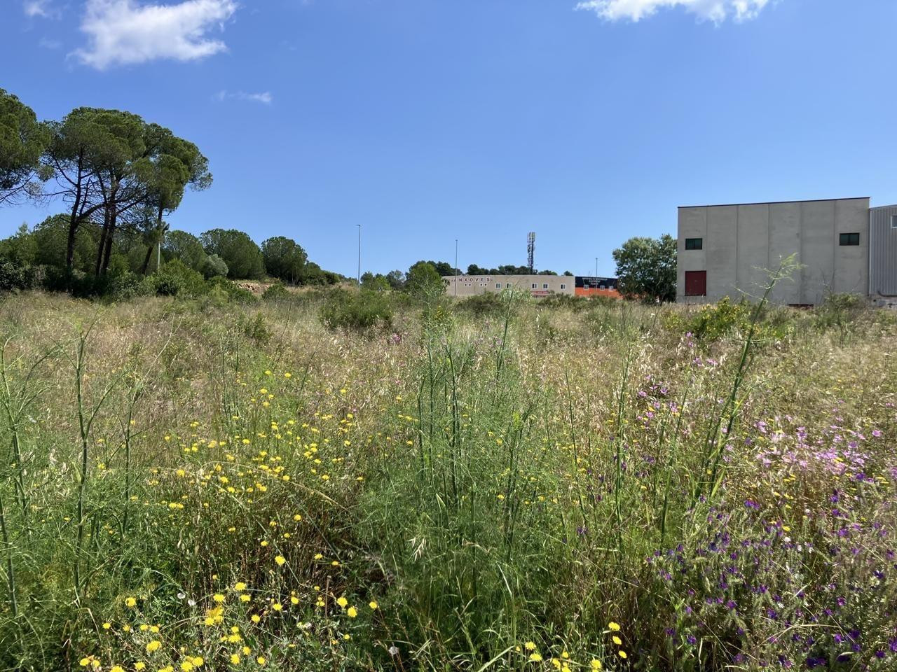 P12 Magnifica Parcela Industrial en L'Escala - foto 4