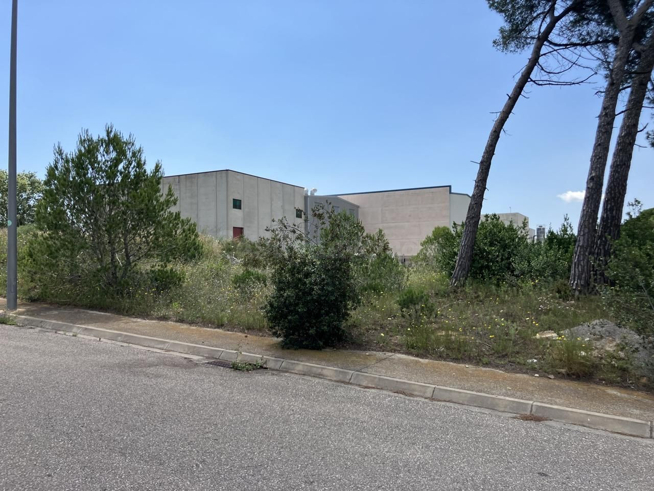 P10 Fantastica parcela industrial en L'Escala - foto 2