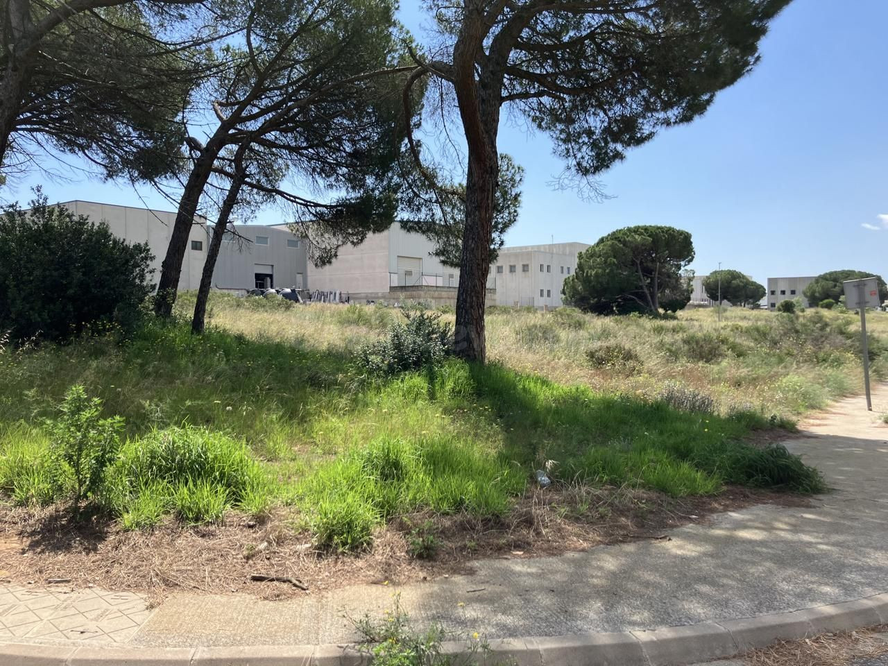 P10 Fantastica parcela industrial en L'Escala - foto 5