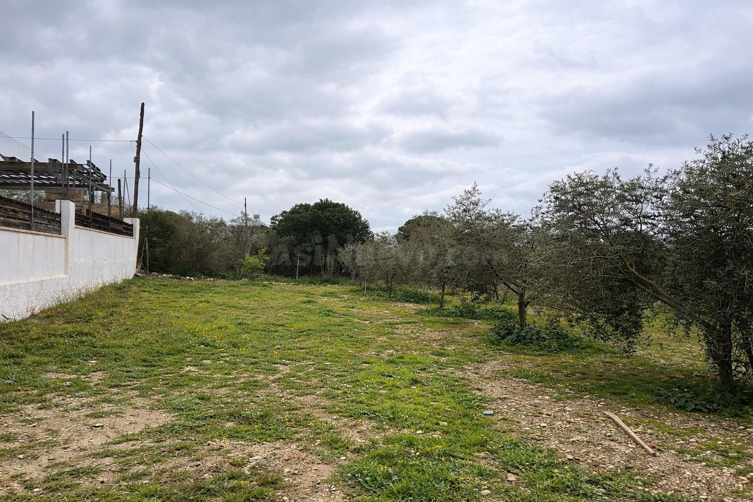 Terreno vallado de 702 m2 con 30 olivos de calidad y múltipl - foto 3