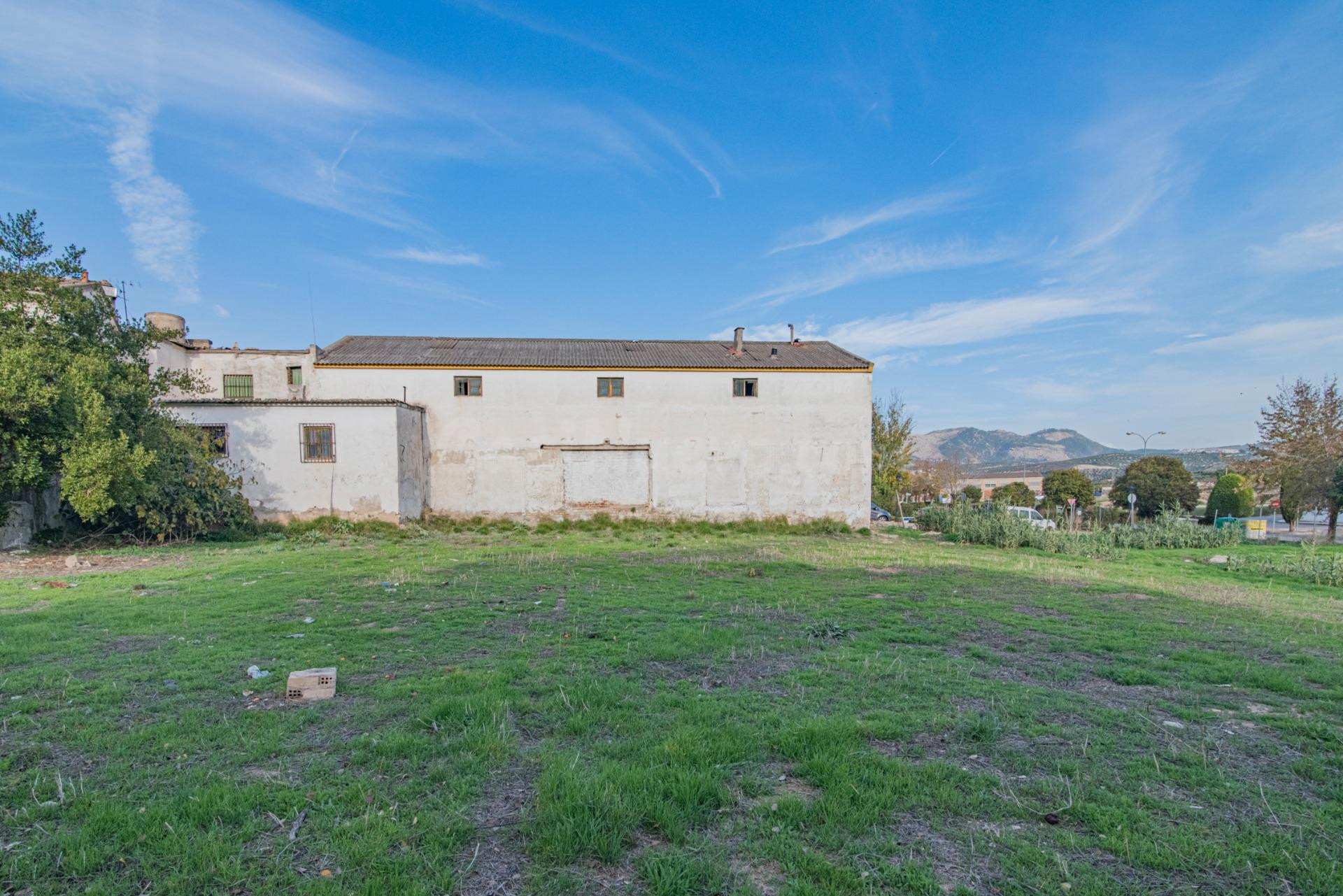 OPORTUNIDAD EN VENTA DE SOLAR URBANO EN PELIGROS