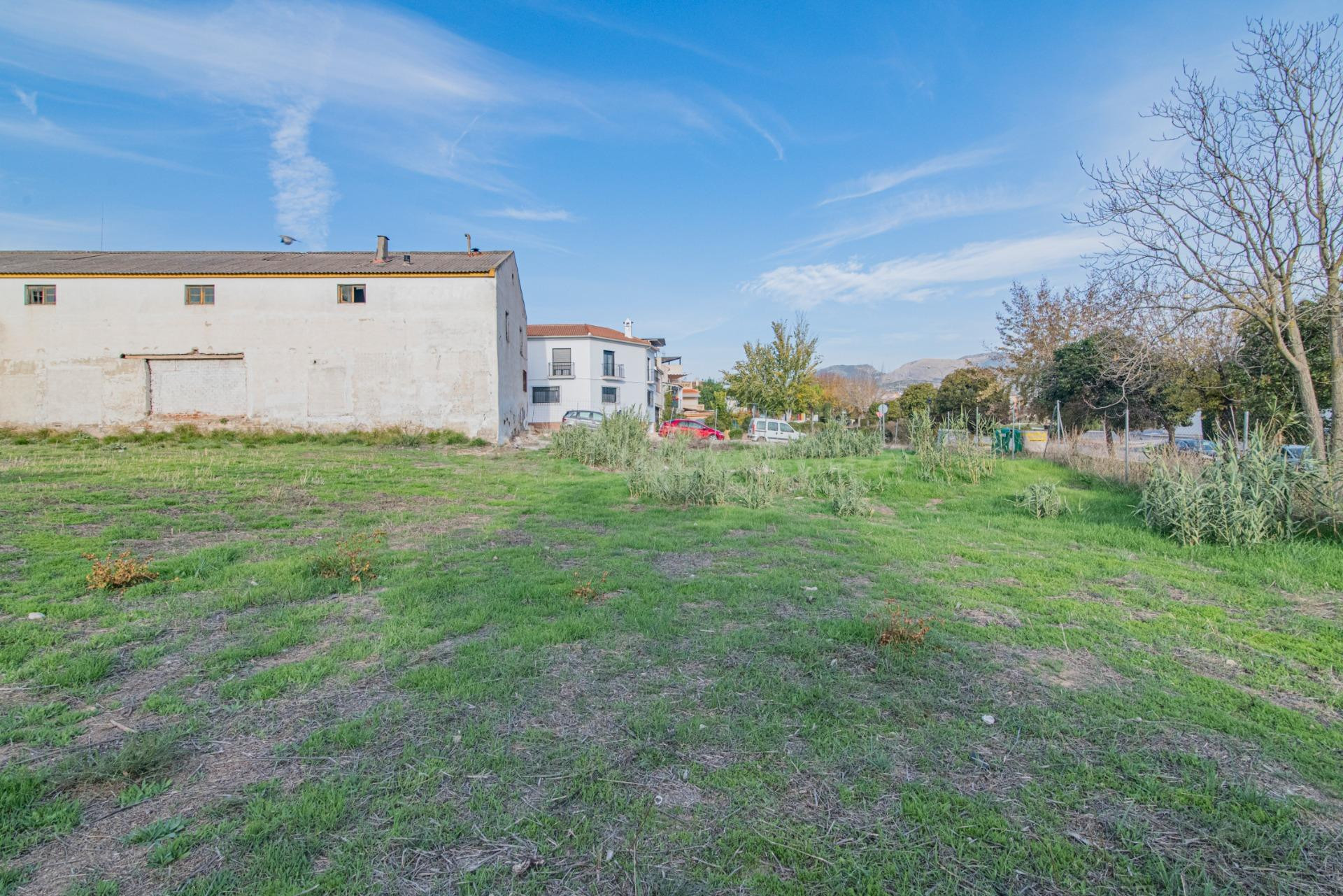 OPORTUNIDAD EN VENTA DE SOLAR URBANO EN PELIGROS - foto 4