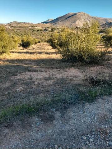 Terreno rústico en Cogollos Vega, con toma de luz y agua en la entrada