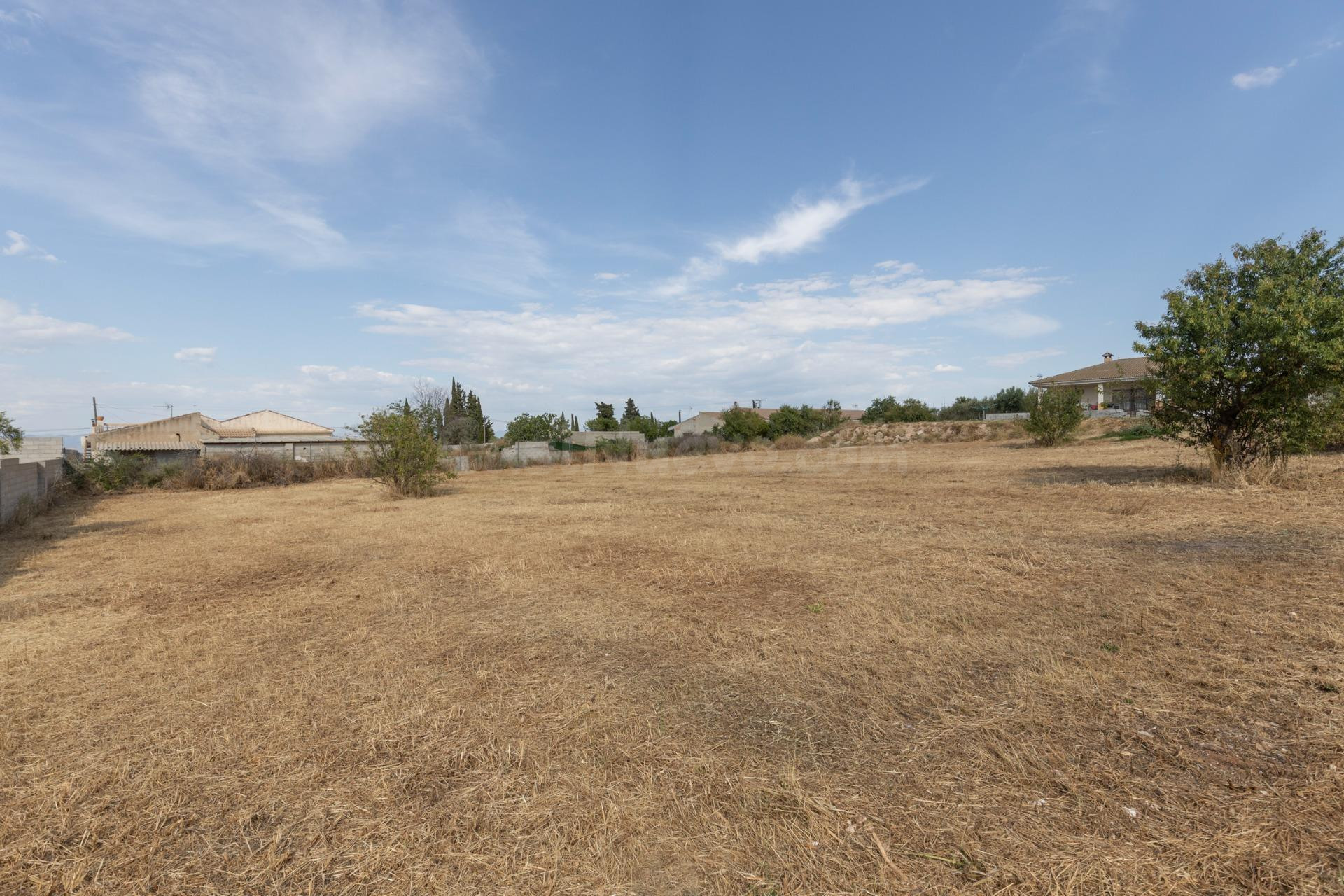 Terreno rural en venta - LOS TABLAZOS - foto 2