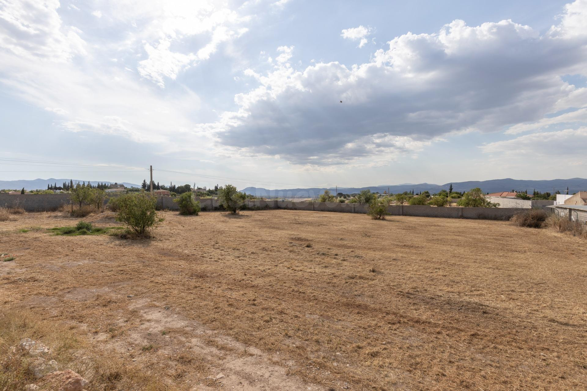 Terreno rural en venta - LOS TABLAZOS - foto 3