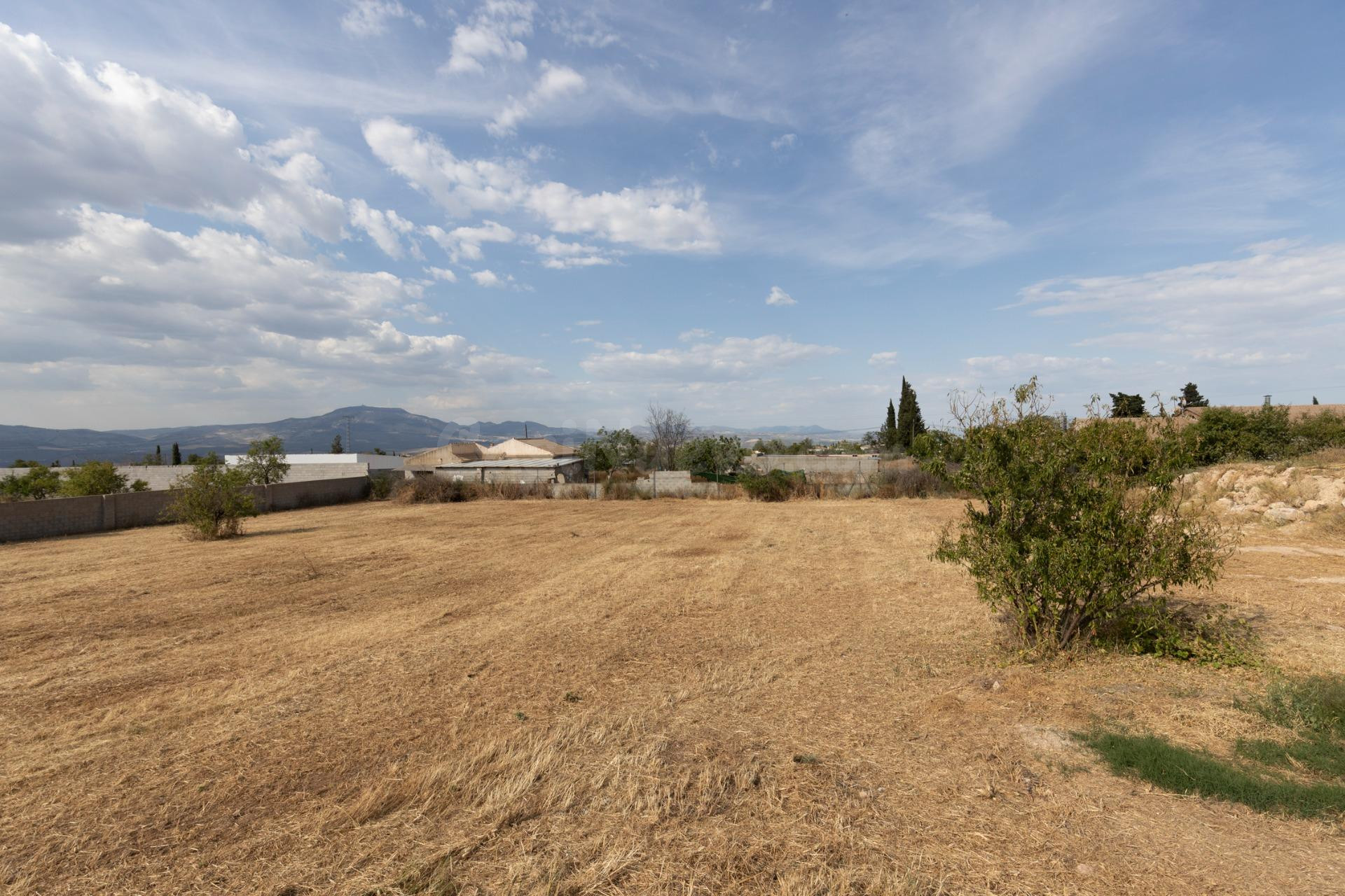 Terreno rural en venta - LOS TABLAZOS - foto 4