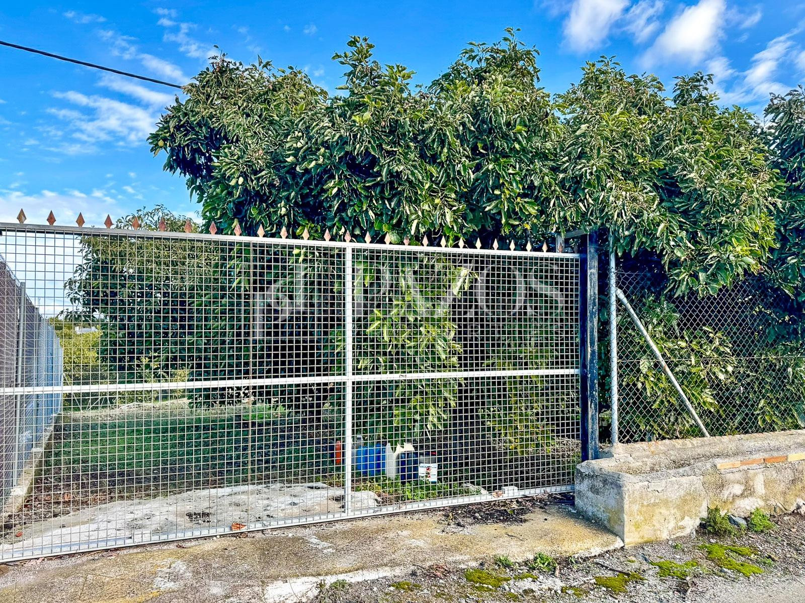 Terreno Rústico en venta - Las Lomas - Las Torres - Terrazas de Alhaurín - foto 2
