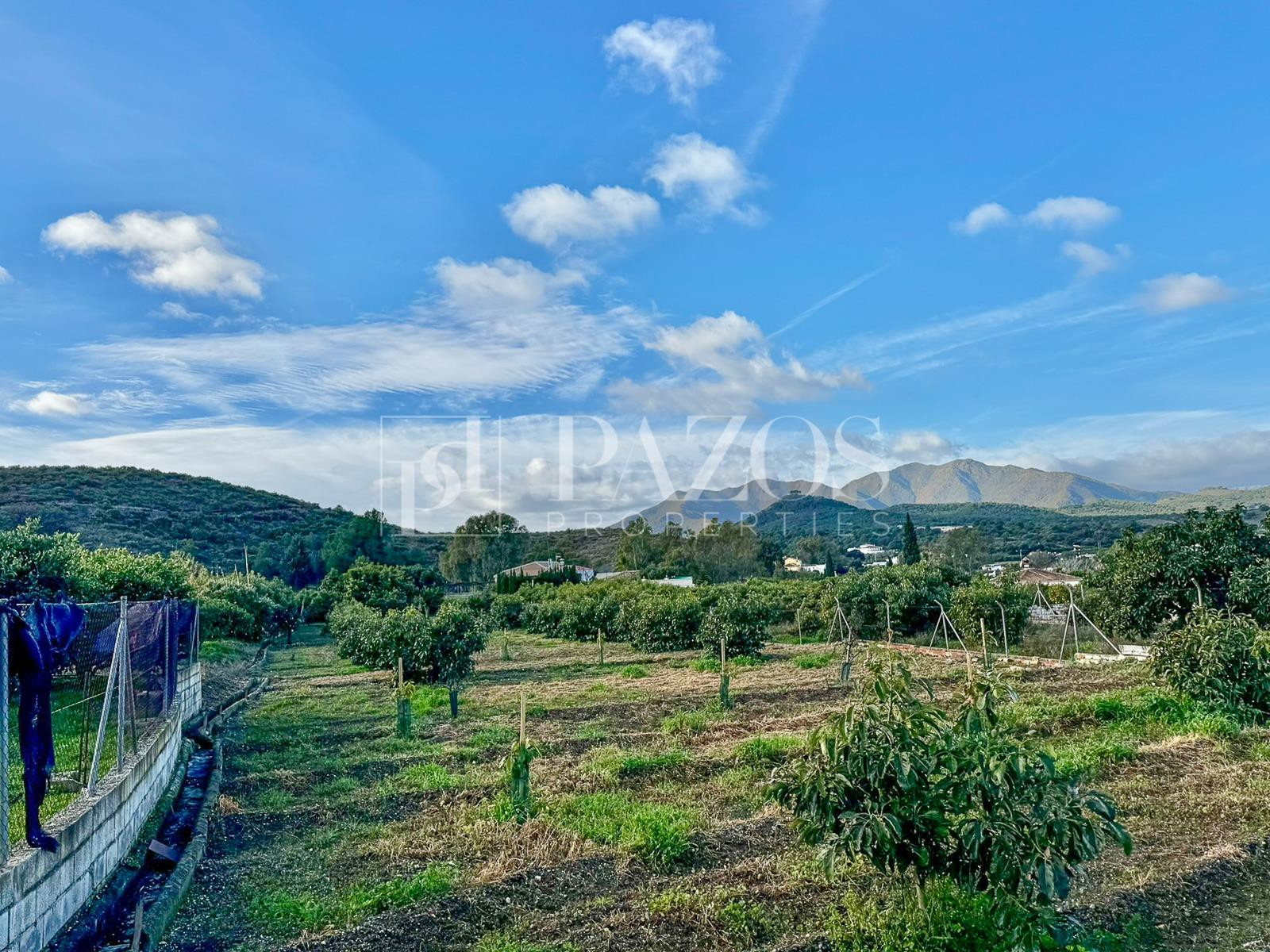 Terreno Rústico en venta - Las Lomas - Las Torres - Terrazas de Alhaurín - foto 4