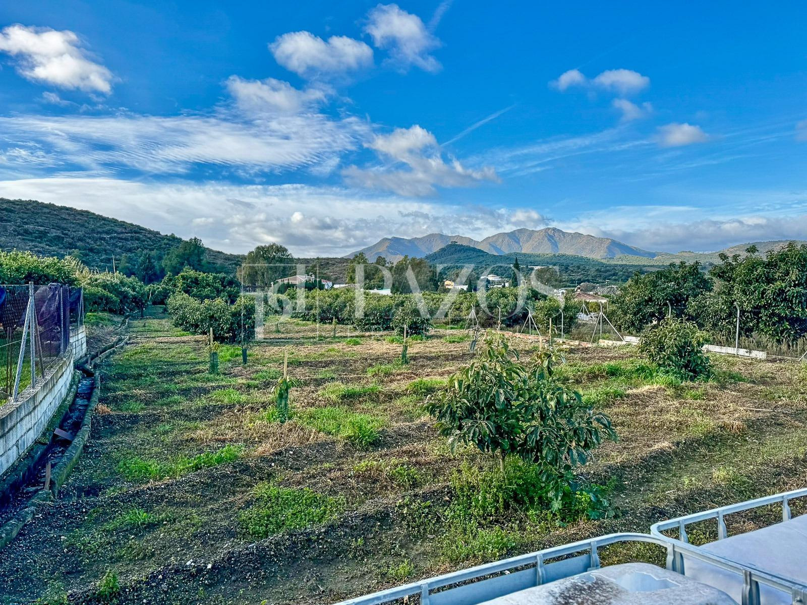 Terreno Rústico en venta - Las Lomas - Las Torres - Terrazas de Alhaurín - foto 5
