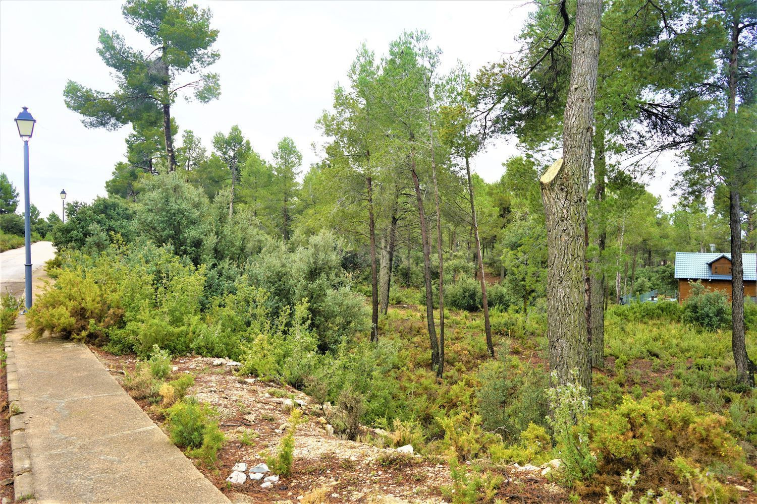 Terreno rural 488m² en venta - Urbanizacion hontanar - foto 4