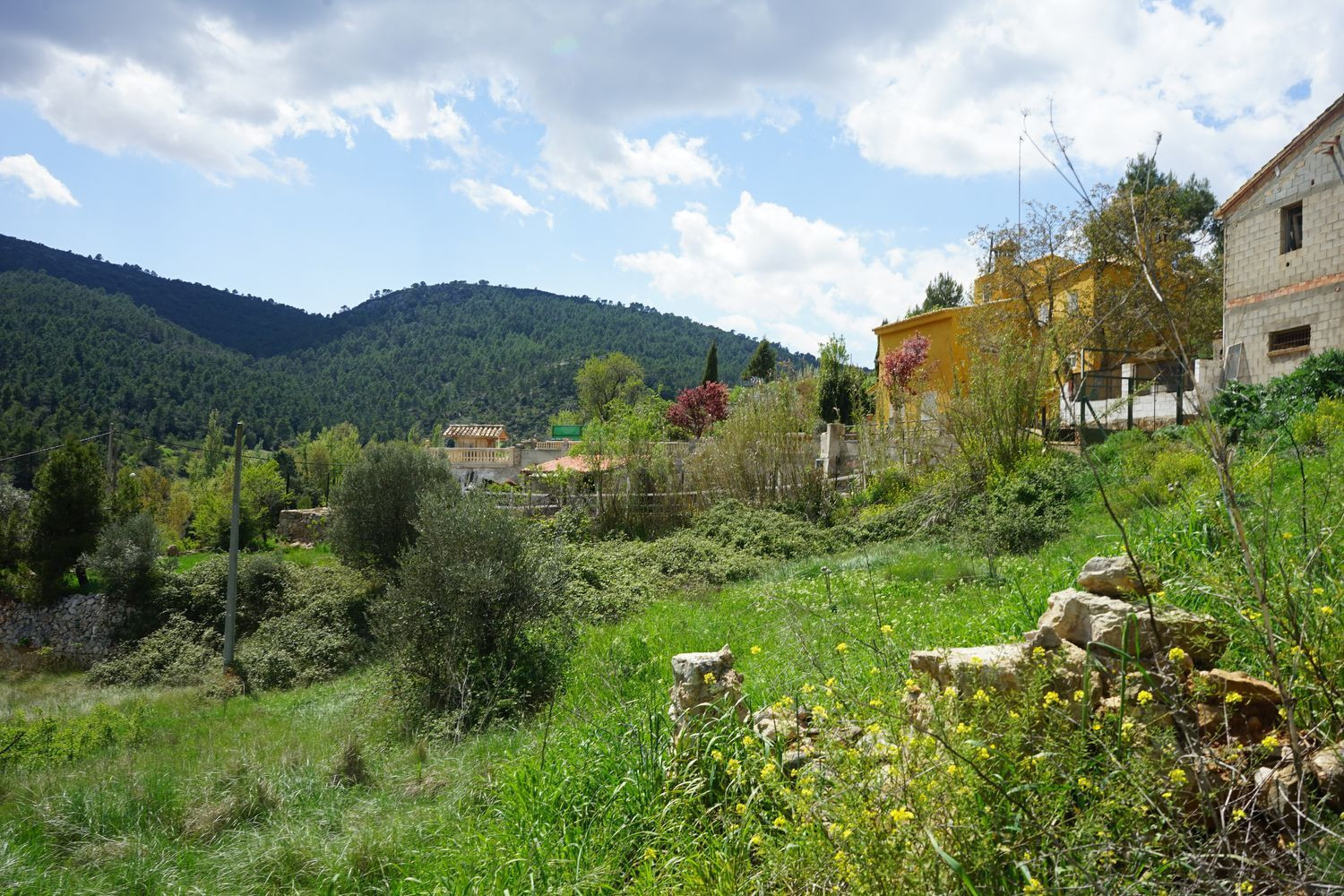 Terreno rural 3186m² en venta - Comunidad valenciana
