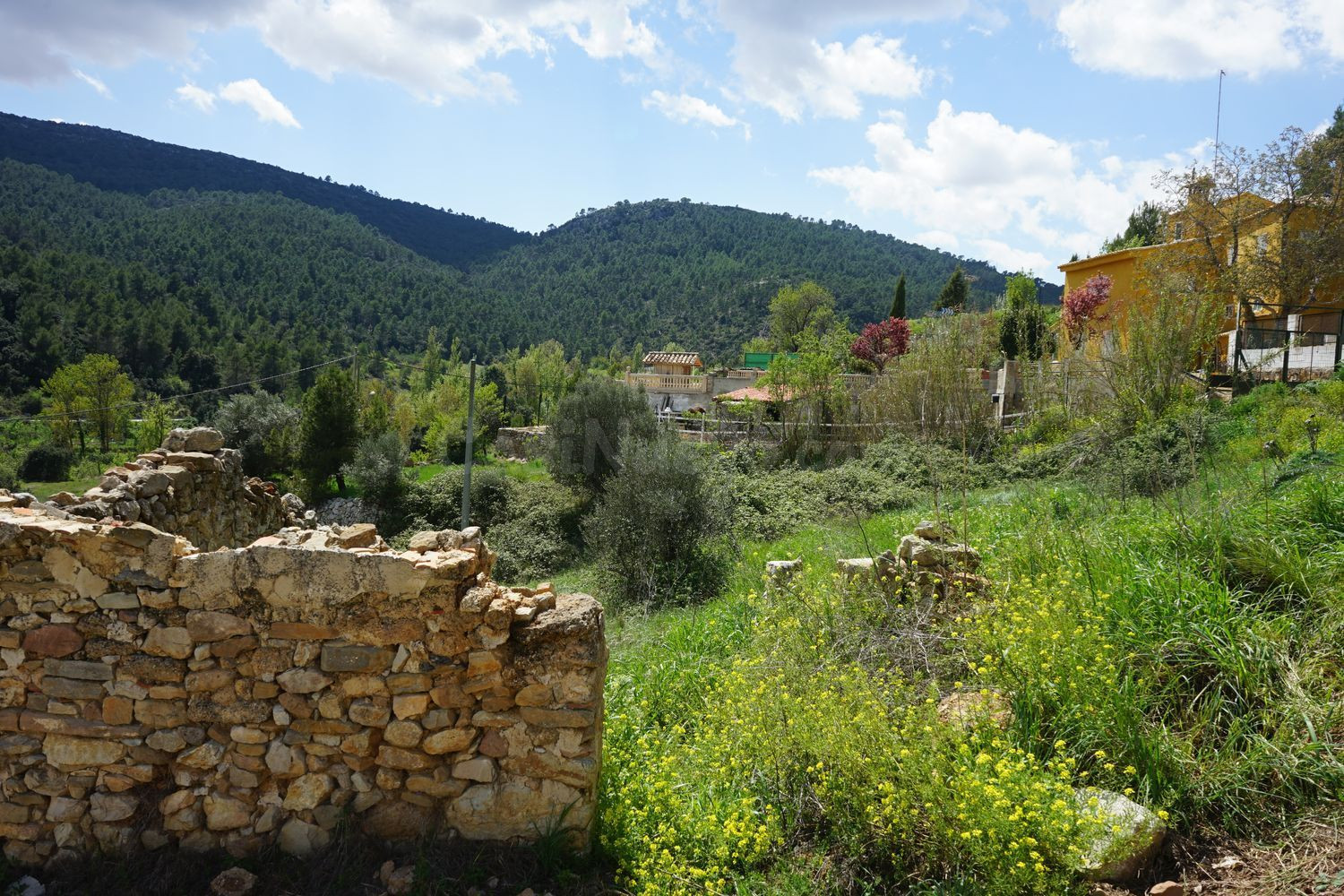 Terreno rural 3186m² en venta - Comunidad valenciana - foto 2