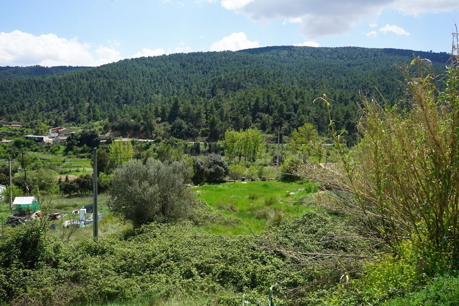 Terreno rural 3186m² en venta - Comunidad valenciana - foto 3
