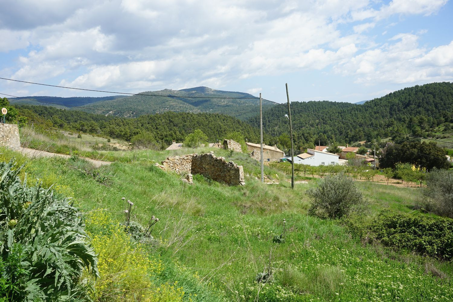 Terreno rural 3186m² en venta - Comunidad valenciana - foto 4
