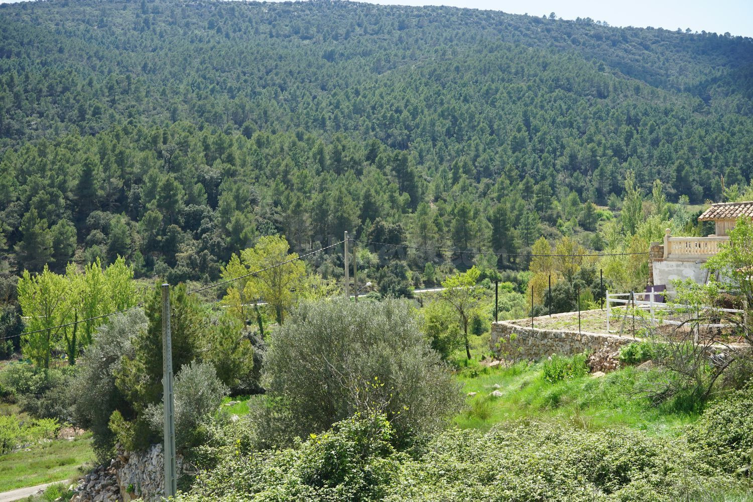 Terreno rural 3186m² en venta - Comunidad valenciana - foto 5