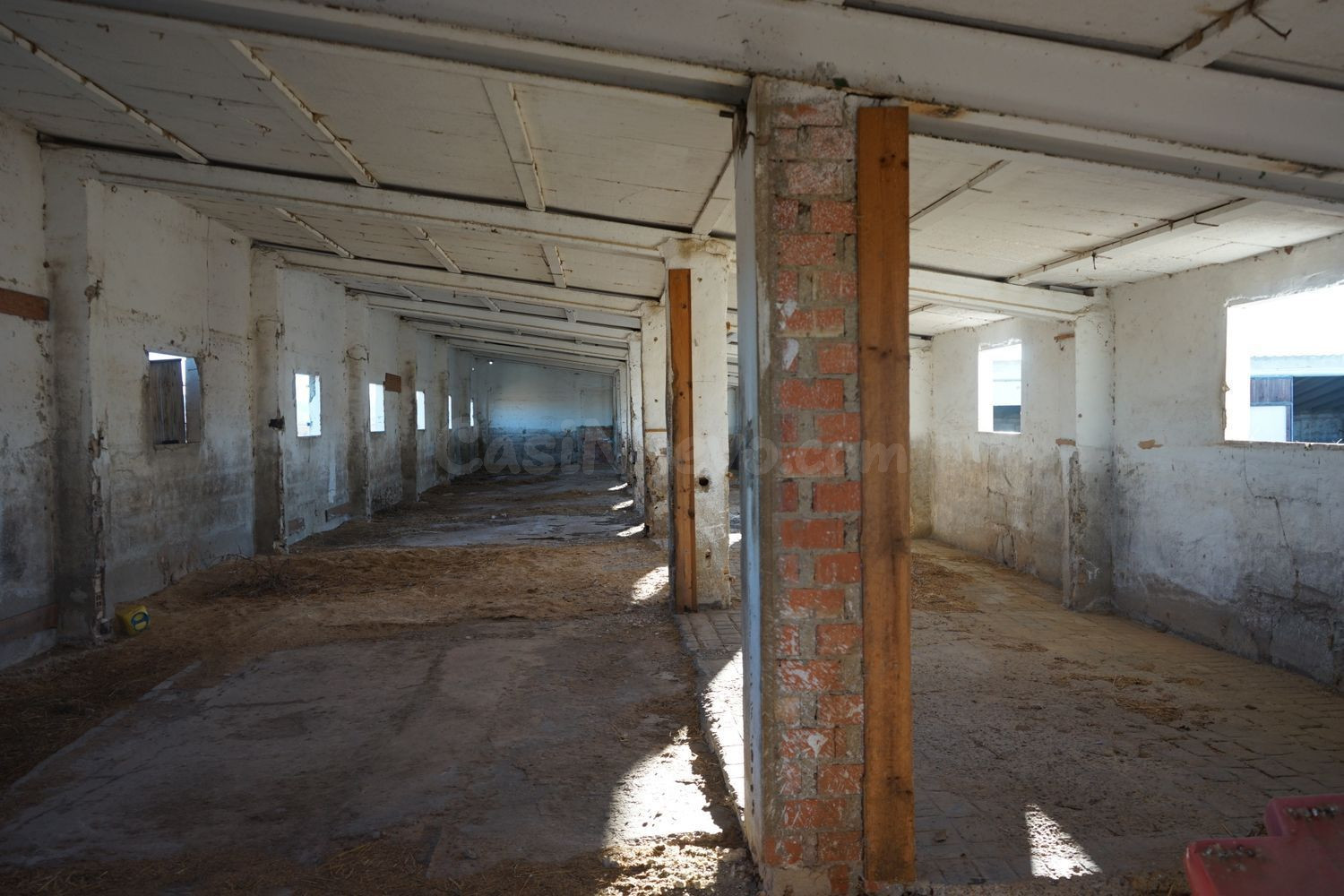 Local comercial 975m² en alquiler - Comunidad valenciana - foto 2