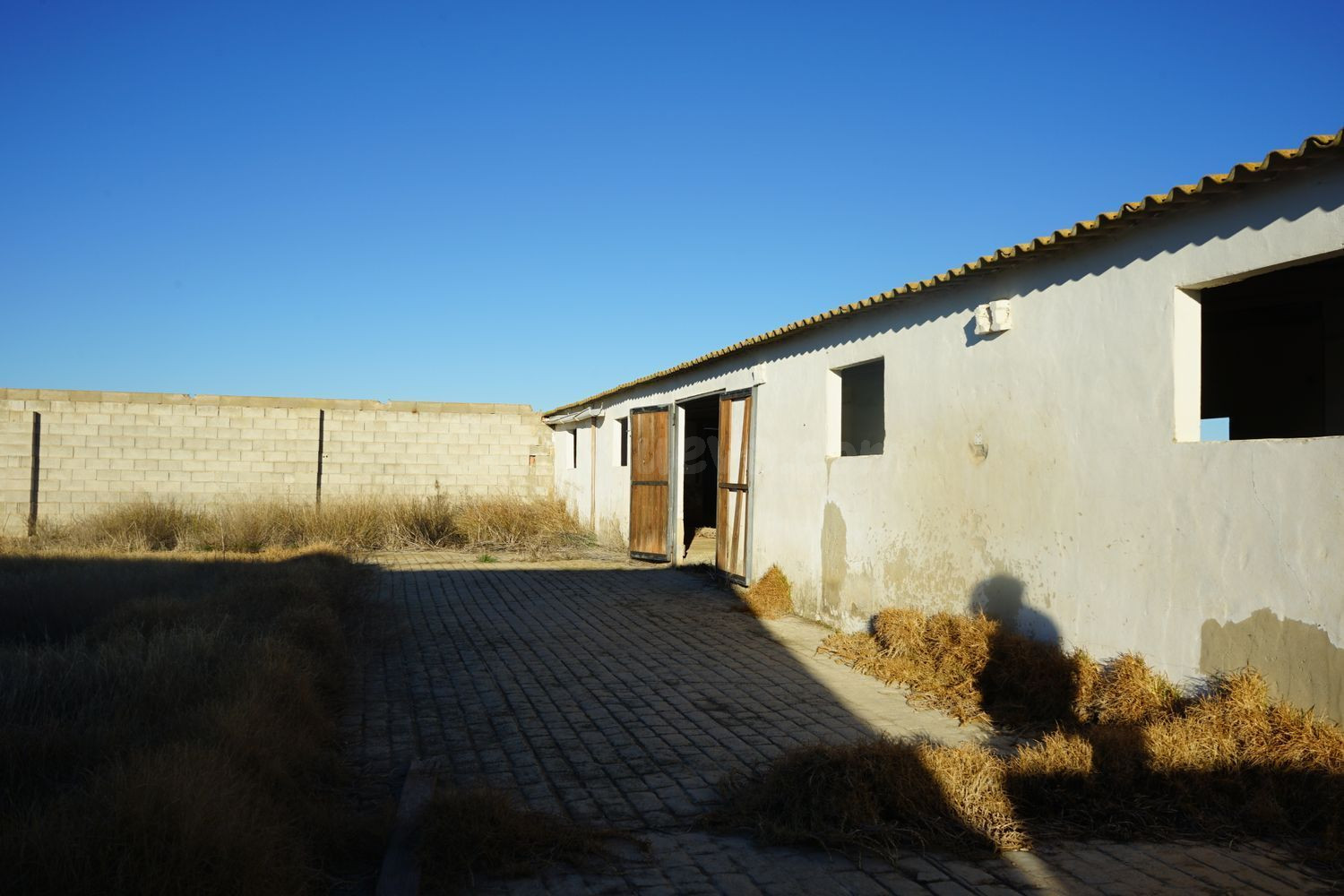 Local comercial 975m² en alquiler - Comunidad valenciana - foto 4