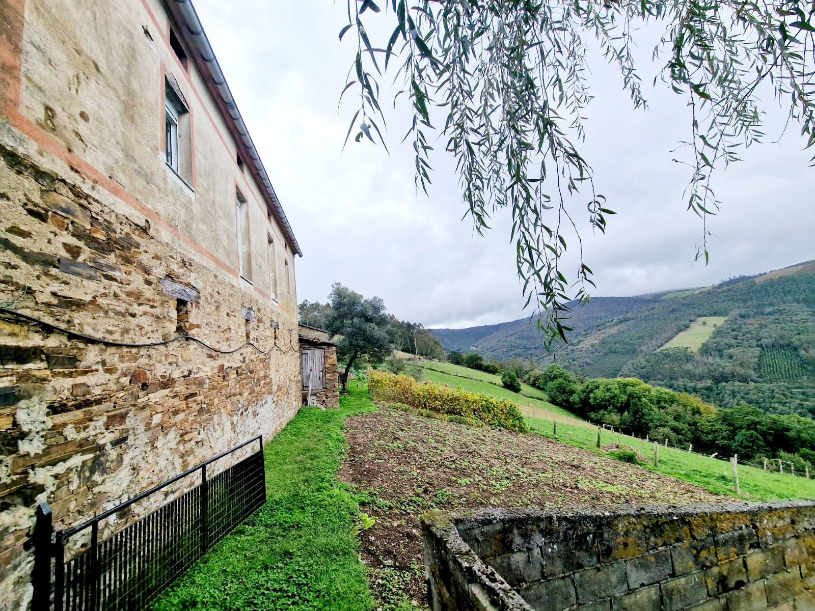 CASA DE PIEDRA CON 16.774 M2 DE FINCA Y CUADRAS EN TARAMUNDI - foto 5
