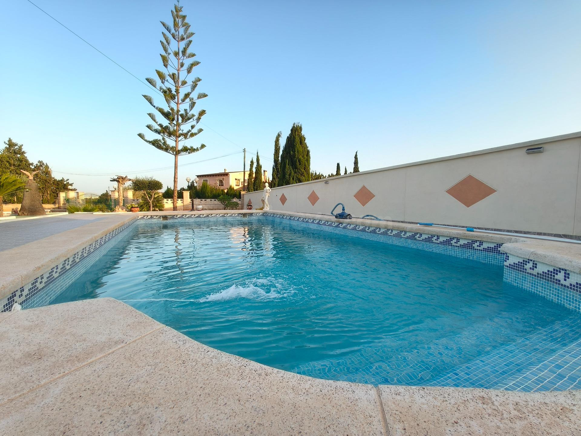 VENTA DE CHALET CON CASA DE INVITADOS EN ELCHE EL ALTET - foto 2
