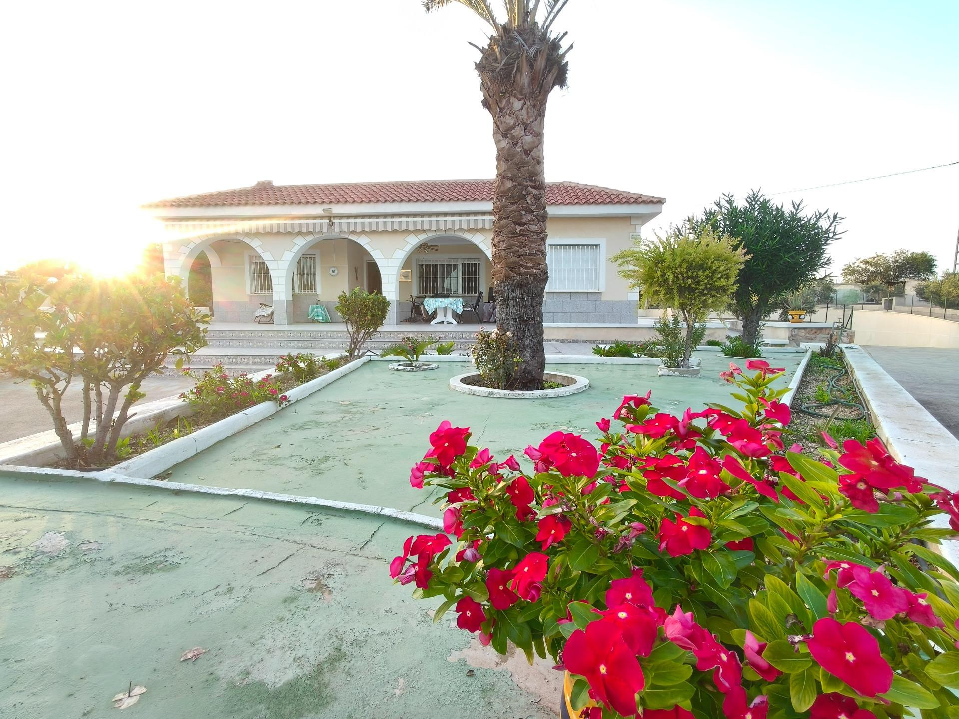 VENTA DE CHALET CON CASA DE INVITADOS EN ELCHE EL ALTET - foto 3