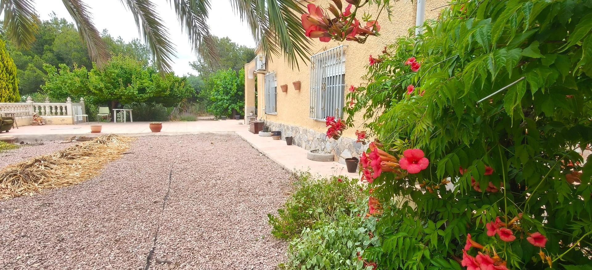 VENTA DE BONITO CHALET EN HONDON DE LAS NIEVES - foto 3