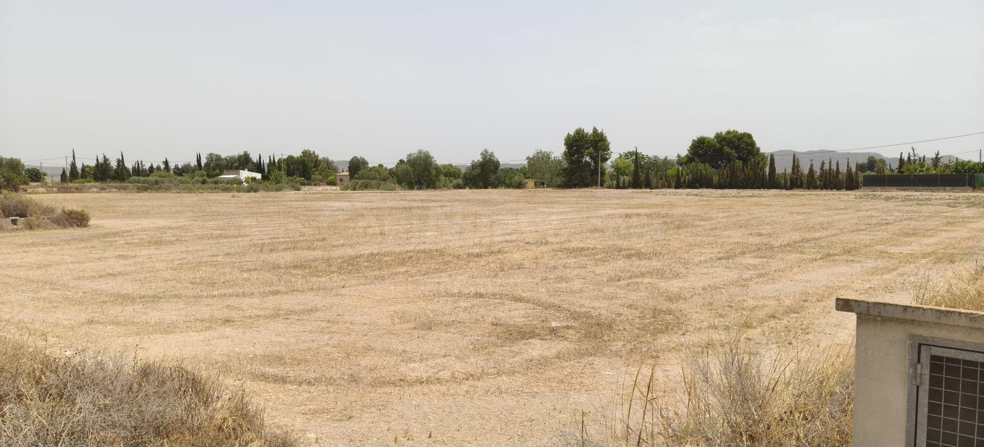 PARCELA RUSTICA PARA CONSTRUIR EN NOVELDA