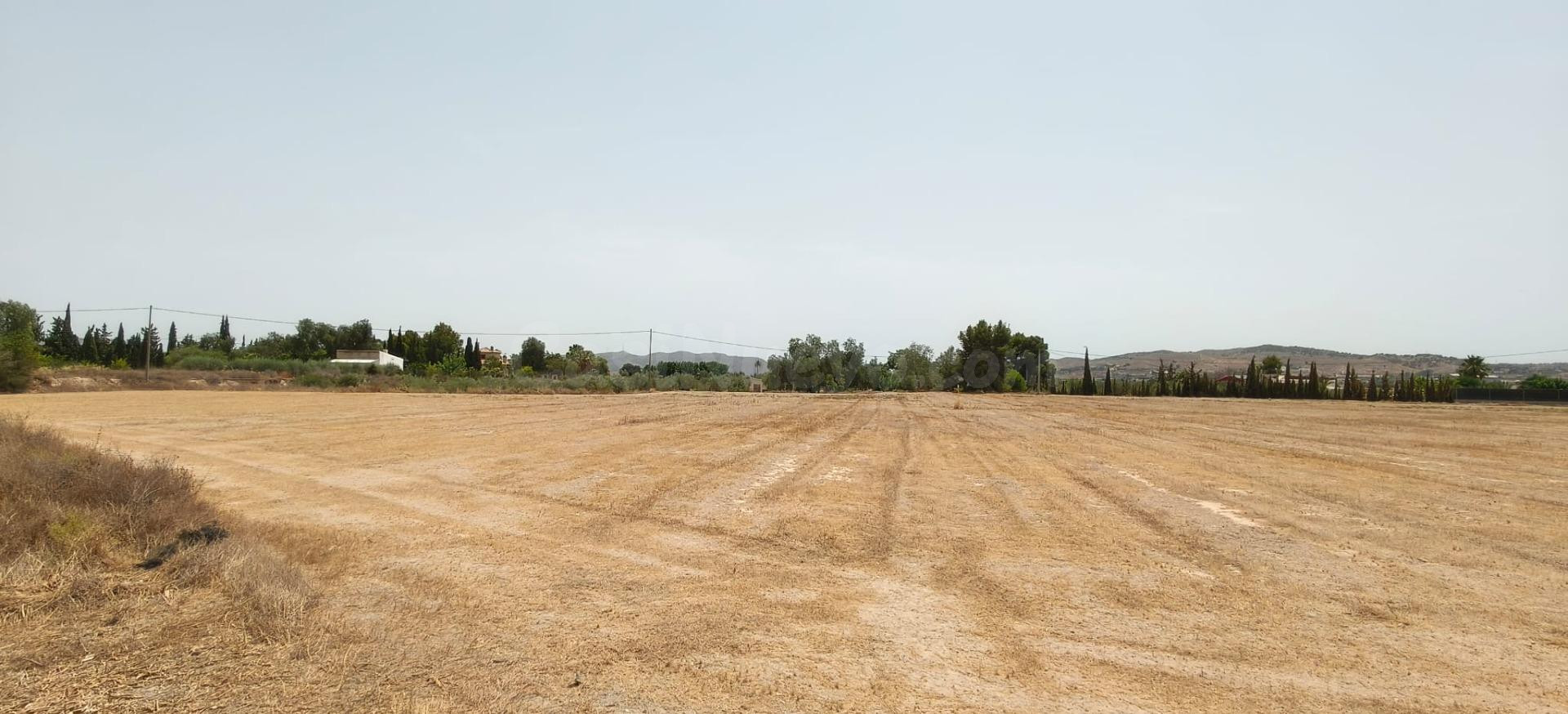 PARCELA RUSTICA PARA CONSTRUIR EN NOVELDA - foto 2