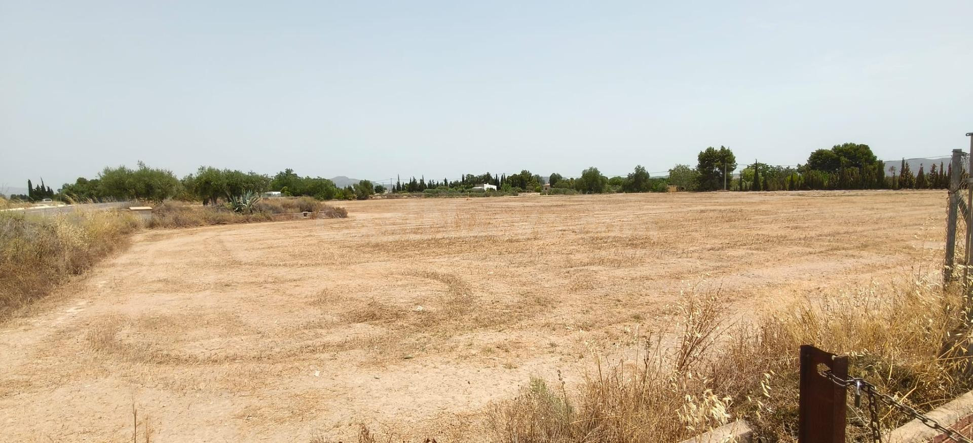 PARCELA RUSTICA PARA CONSTRUIR EN NOVELDA - foto 3