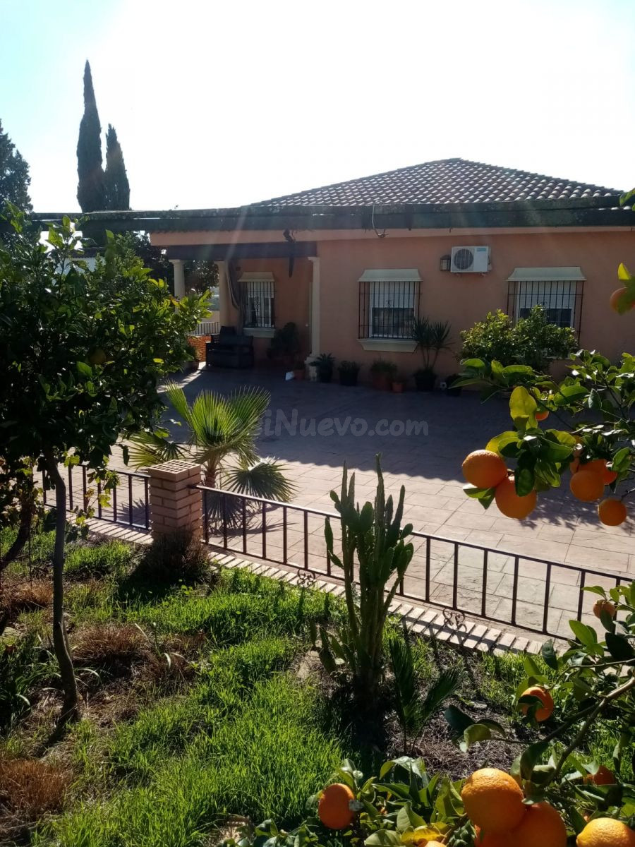 Chalet con gran parcela en Las Quemadillas, a pocos minutos  - foto 4
