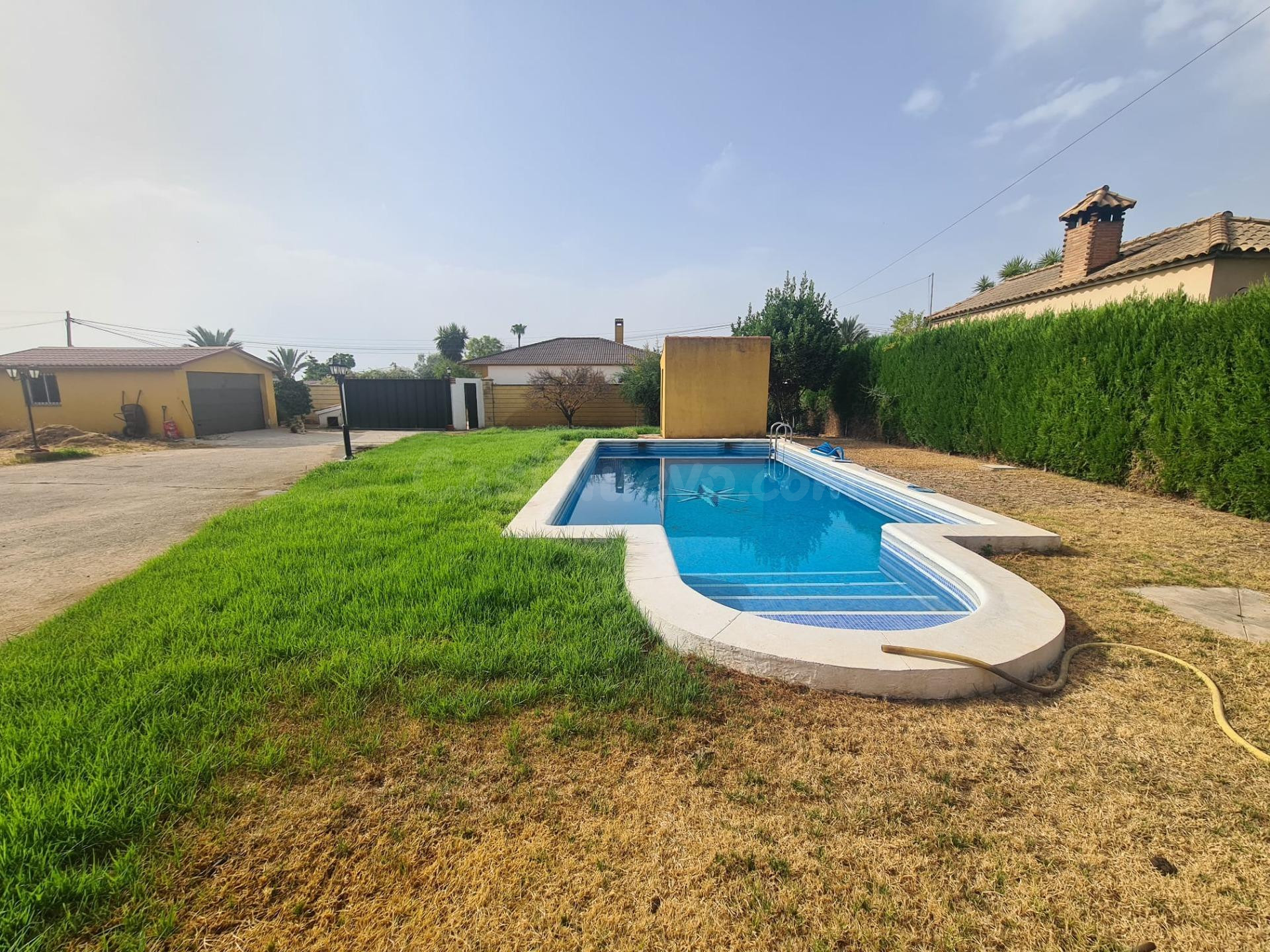 Chalet con piscina, apartamento independiente y 2.000 m2 de parcela en Urbanización Las Pitas – El Higuerón ( NO HIPOTECABLE ) - foto 4